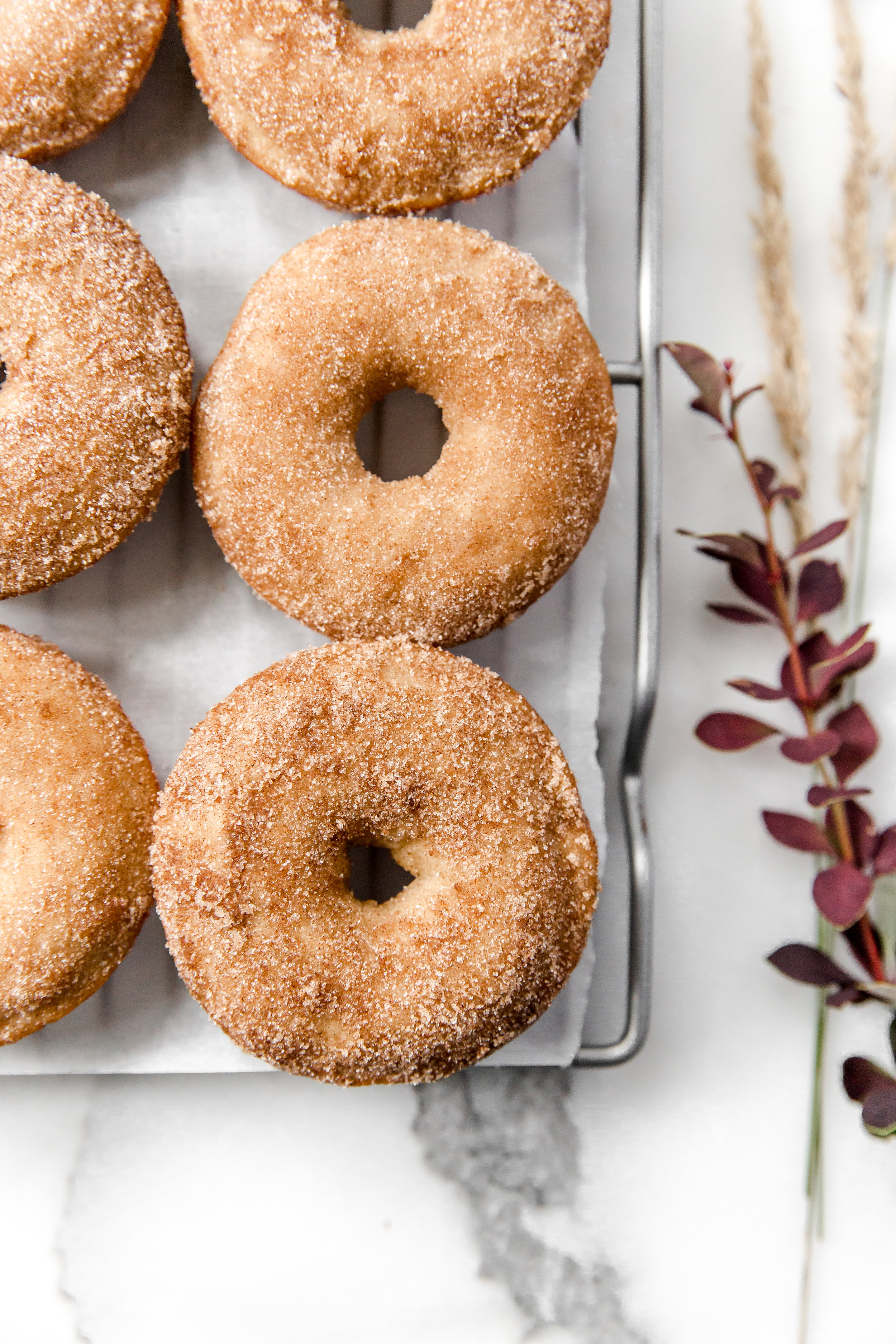 Apple Cider Donuts || To Salt & See-4.jpg