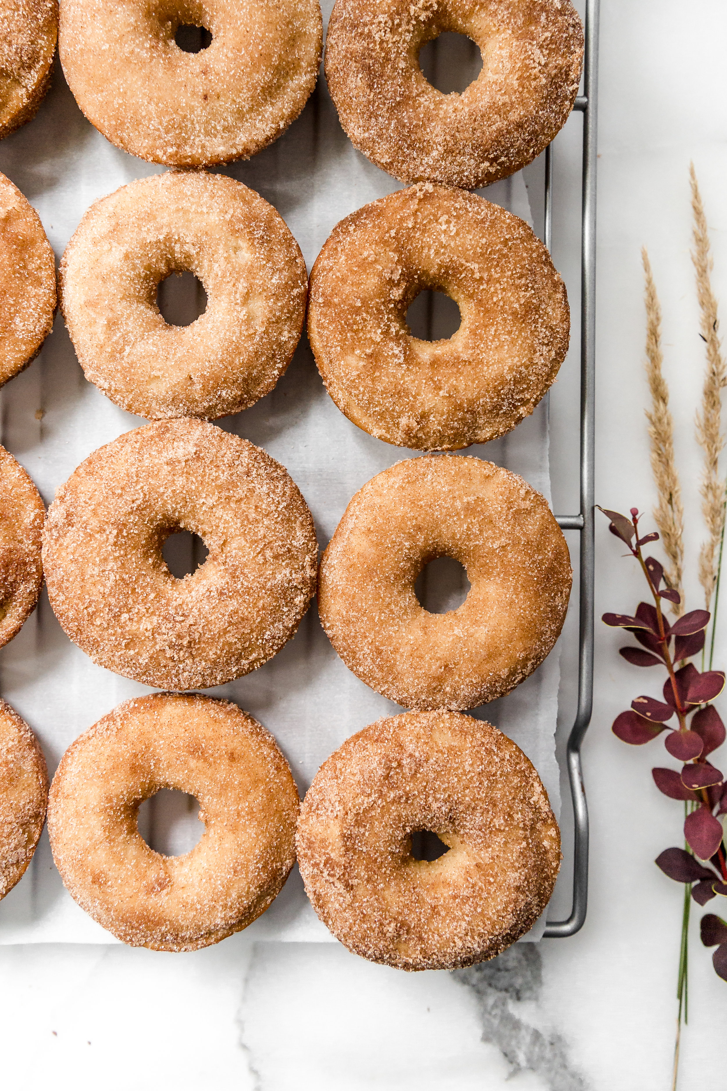 Apple Cider Donuts || To Salt & See-3.jpg