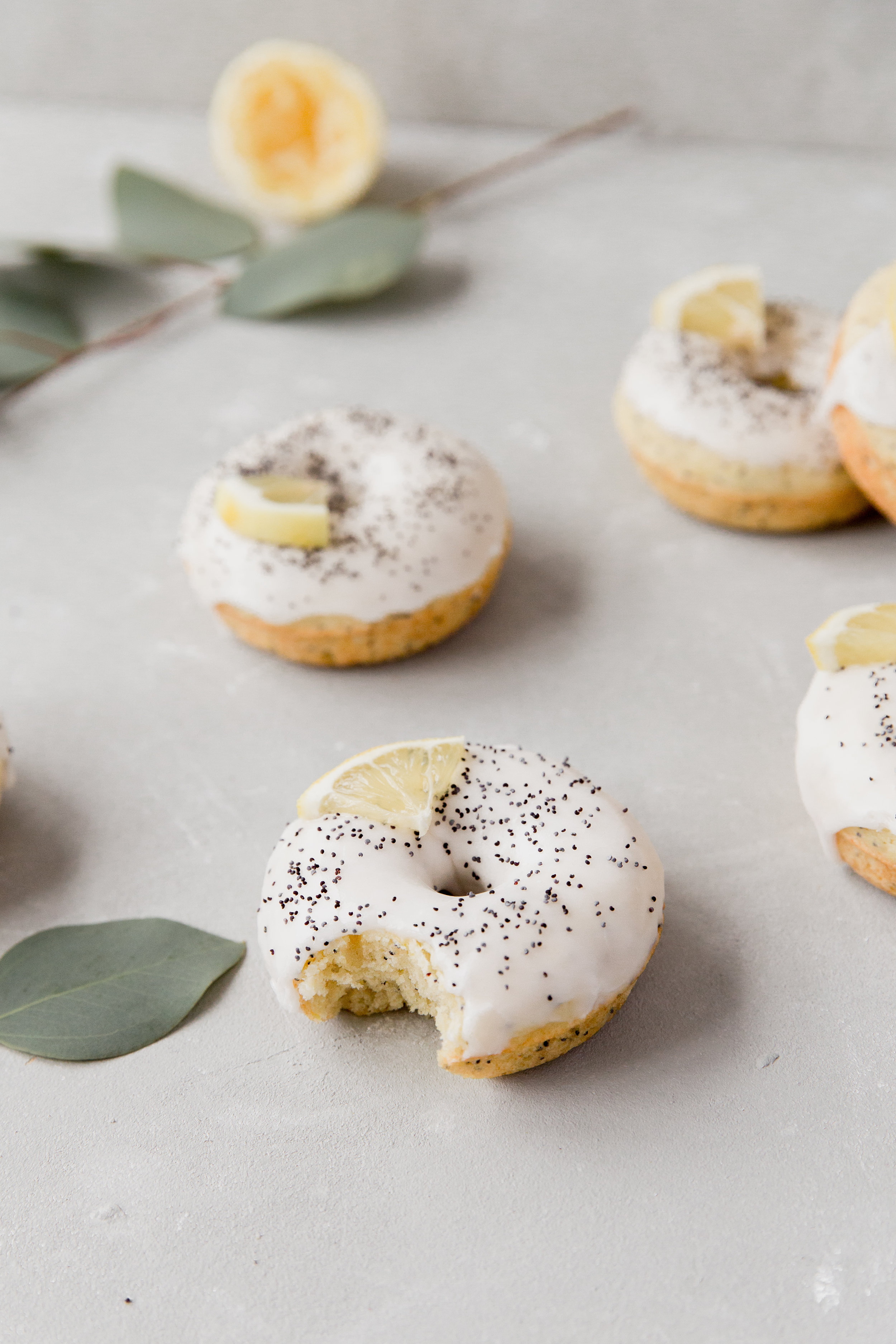 Lemon Poppy Seed Donuts || To Salt & See-9.jpg