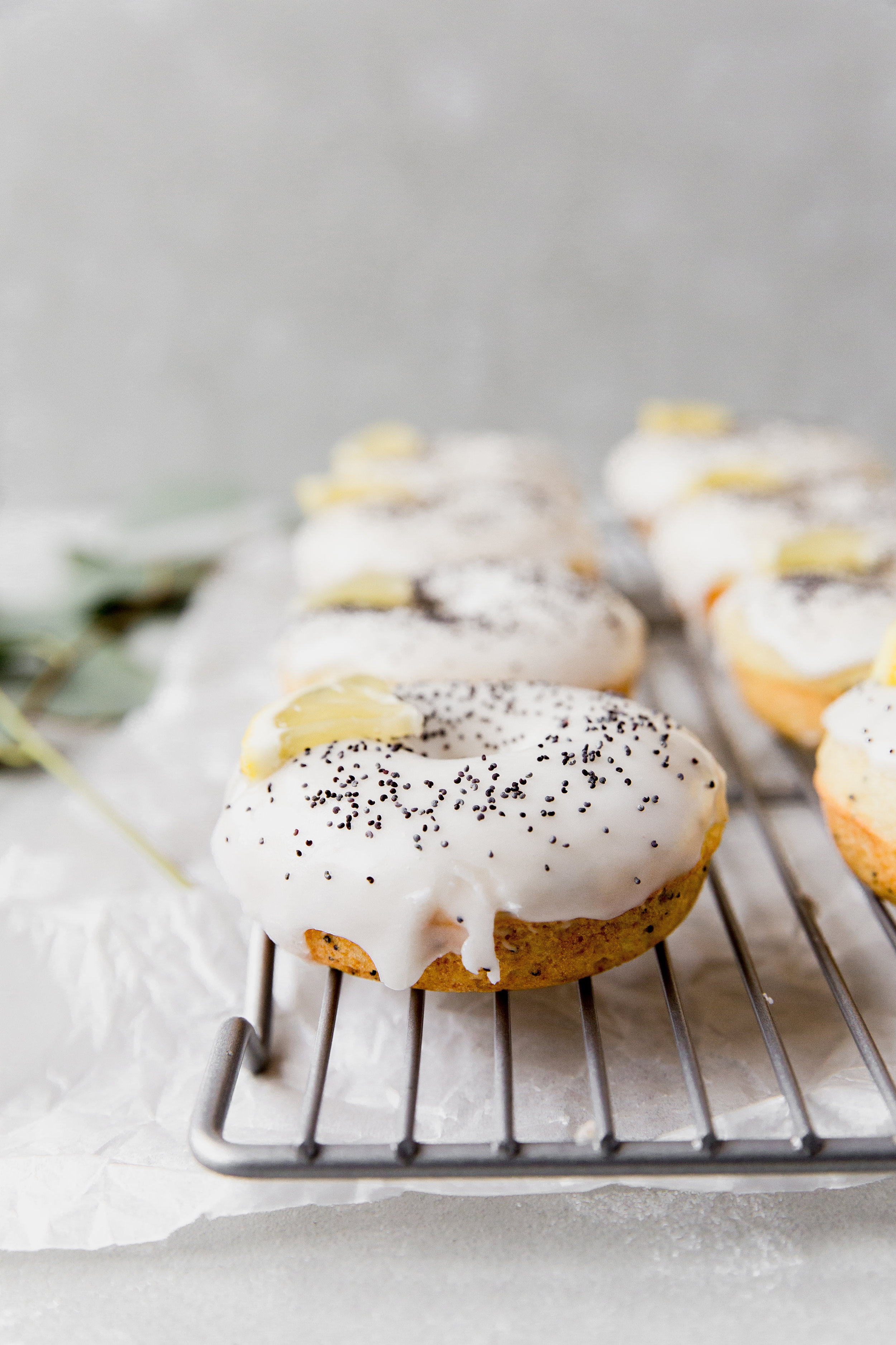 Lemon Poppy Seed Donuts || To Salt & See-2.jpg