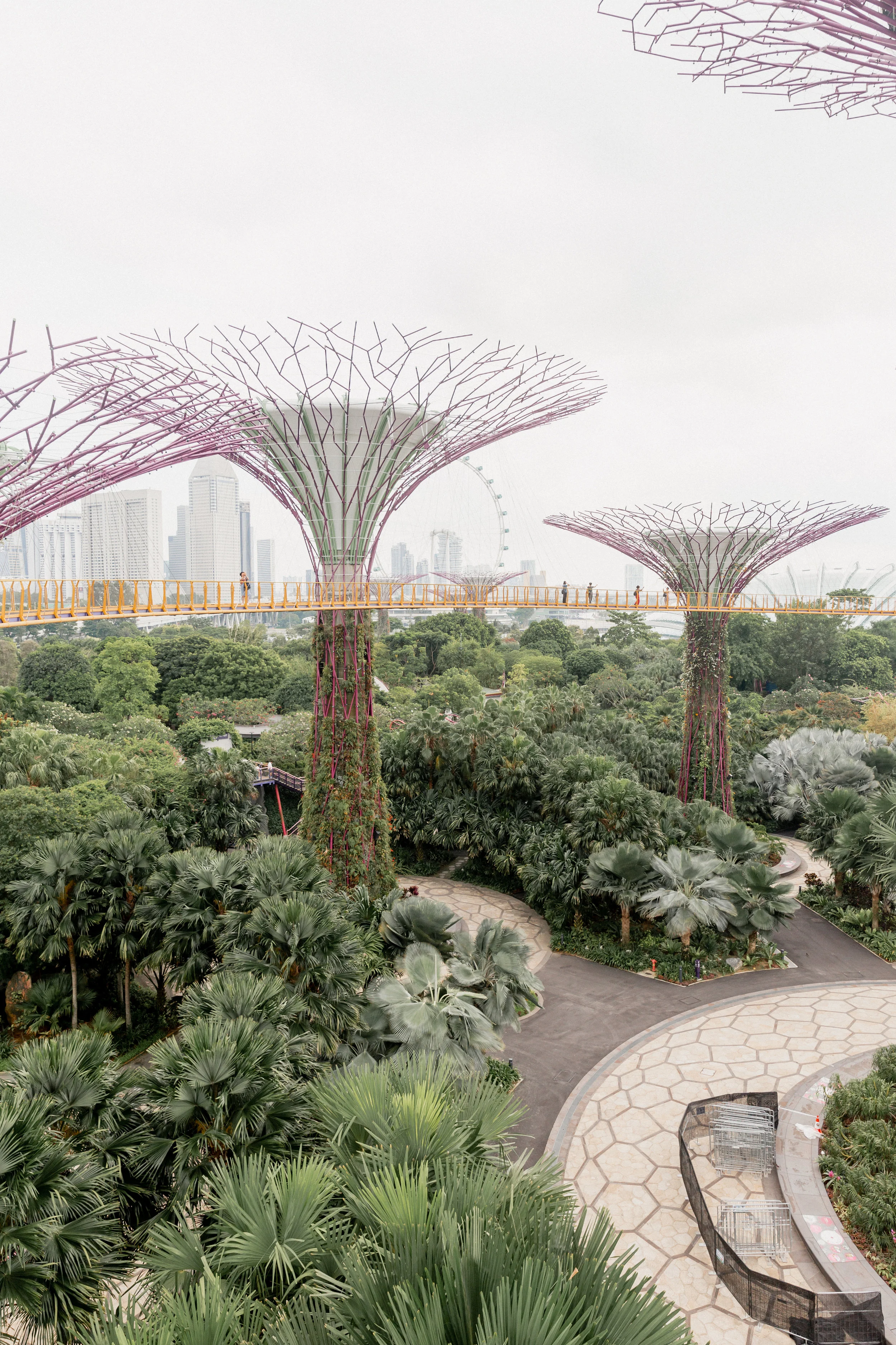 24 Hours in Singapore
