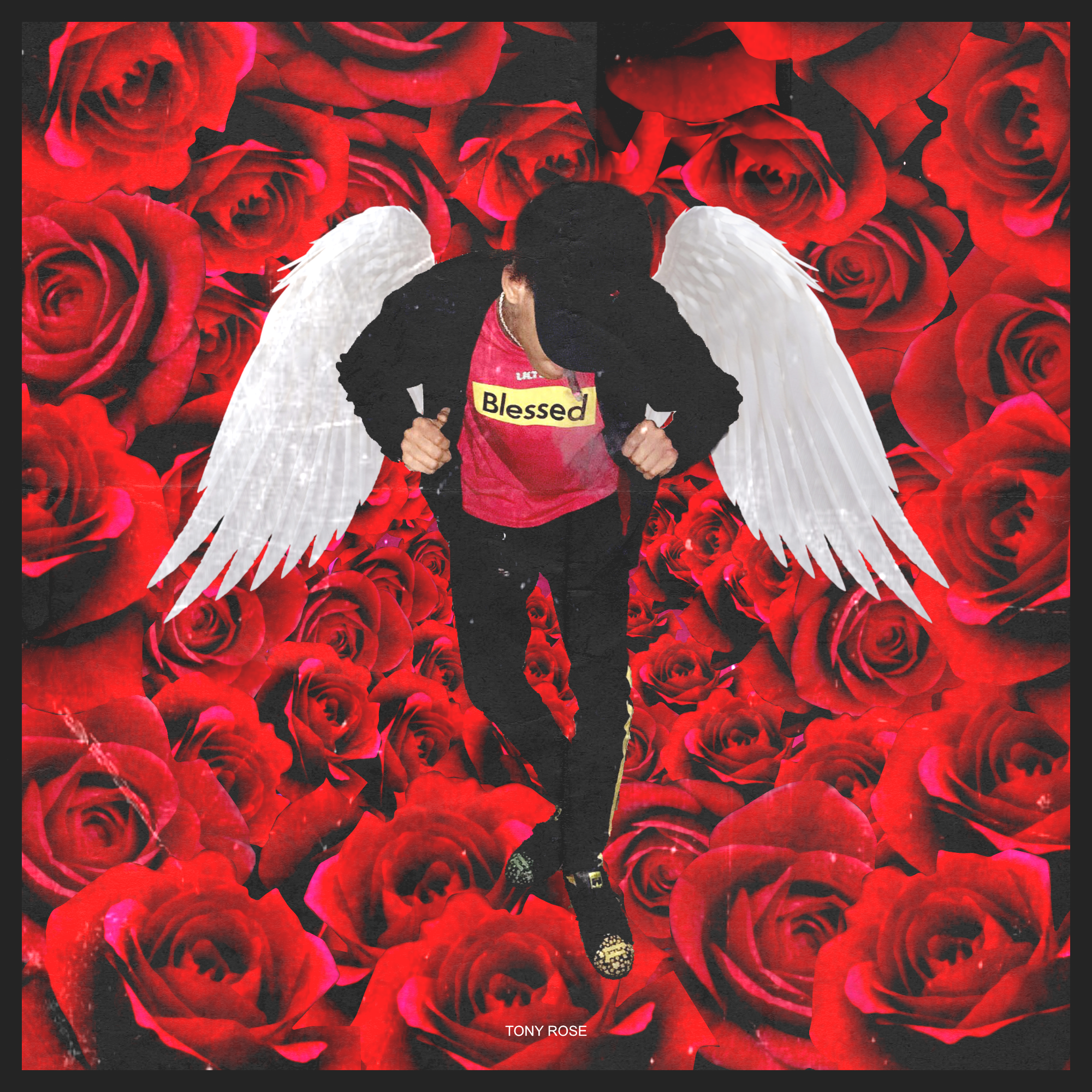 Tony Rose Cover