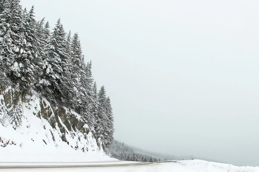 Kootenay drive.jpg