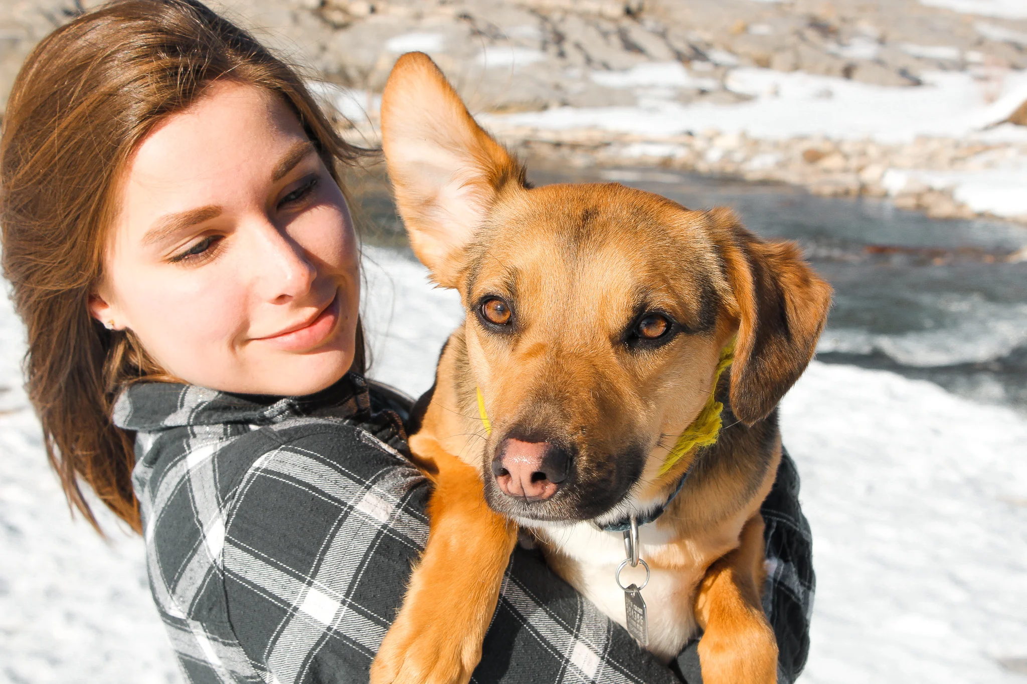 Jill Clark photo Kananaskis spring with Champ.jpg