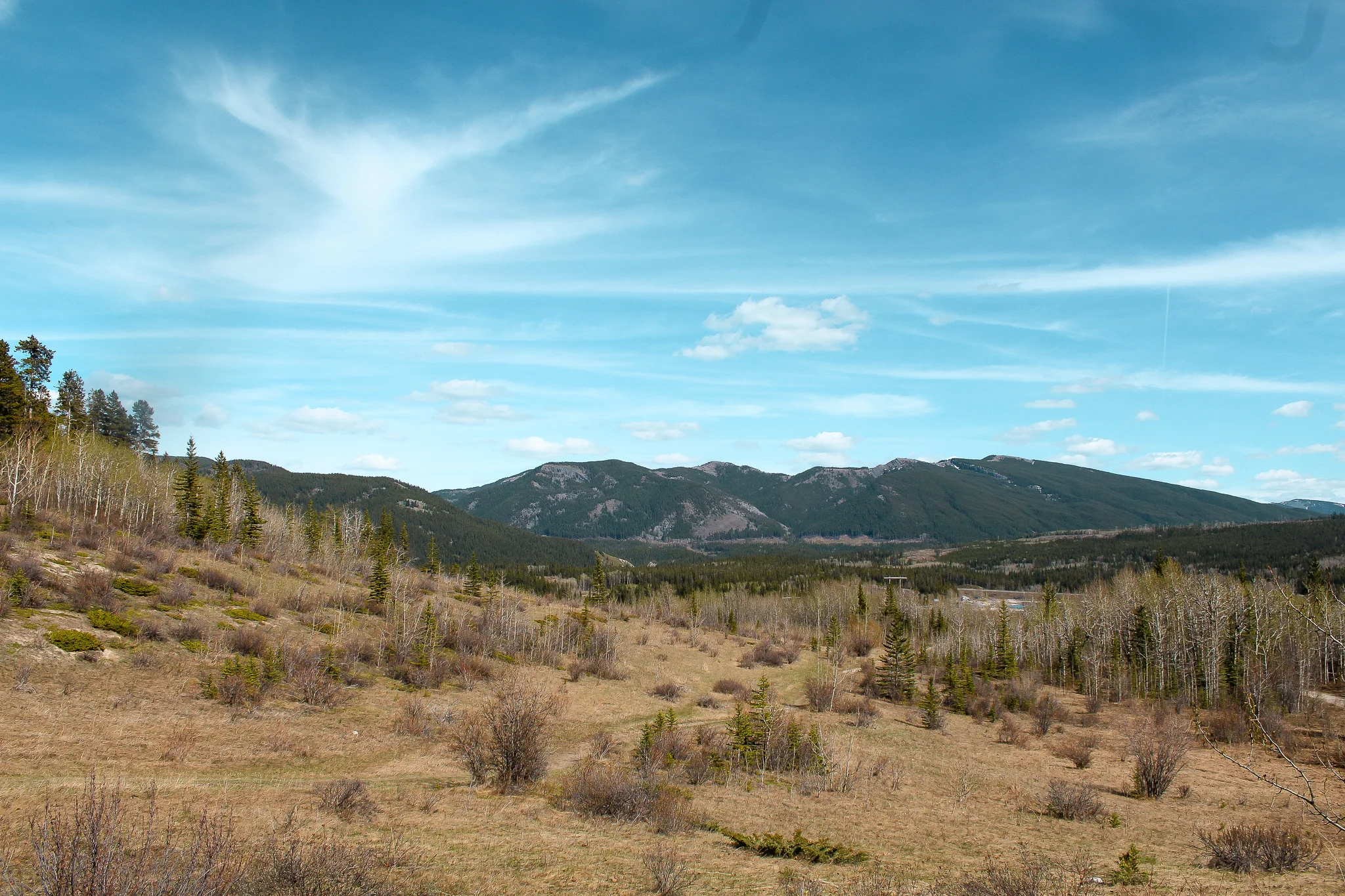 Prairie View Trailhead Jill Clark photo.jpg