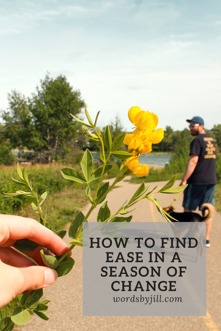 How to find ease pinterest graphic 2.jpg