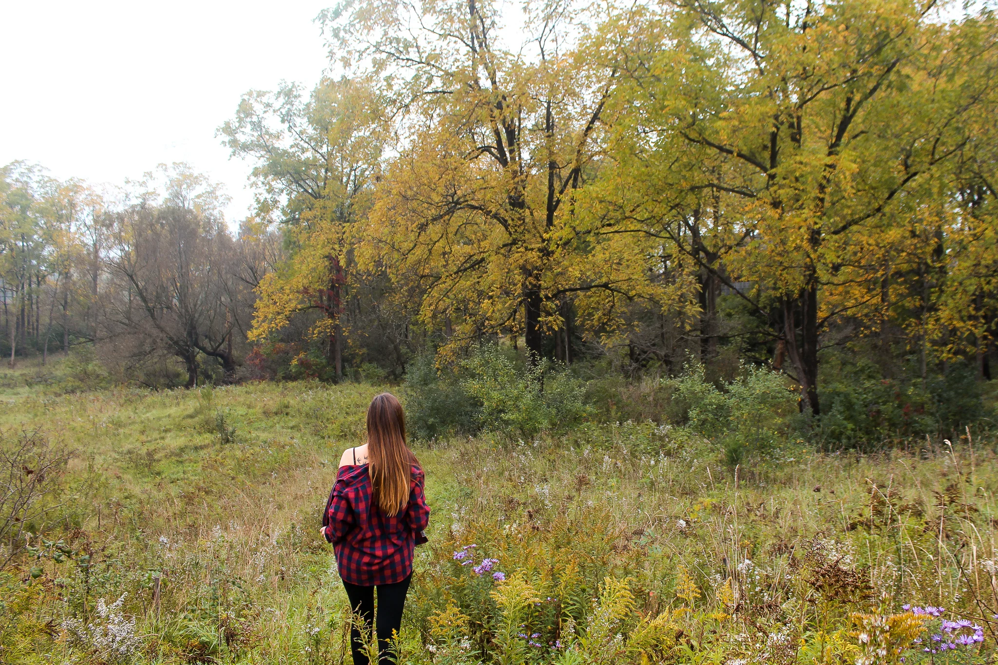 Fall things plaid.jpg