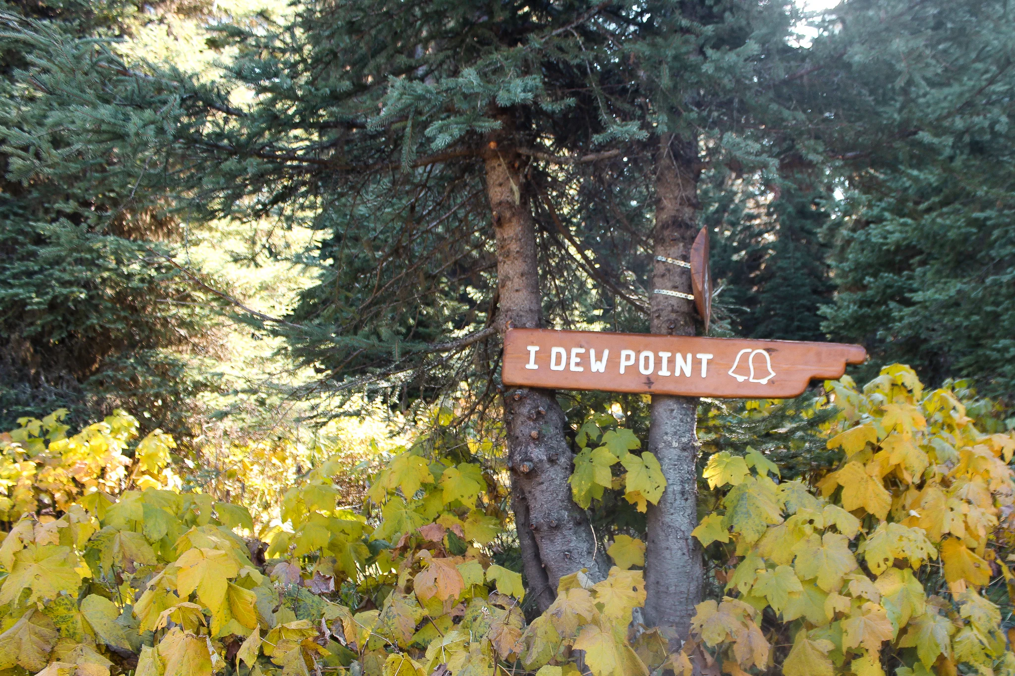 Fernie in fall I dew point.jpg