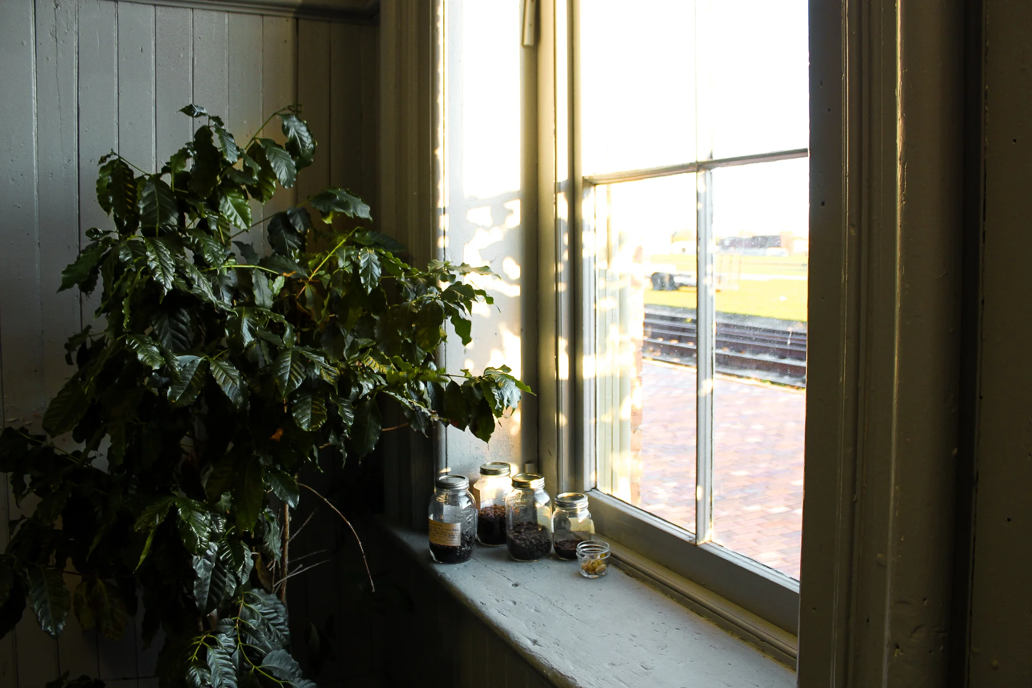 Things for fall that fading light.jpg