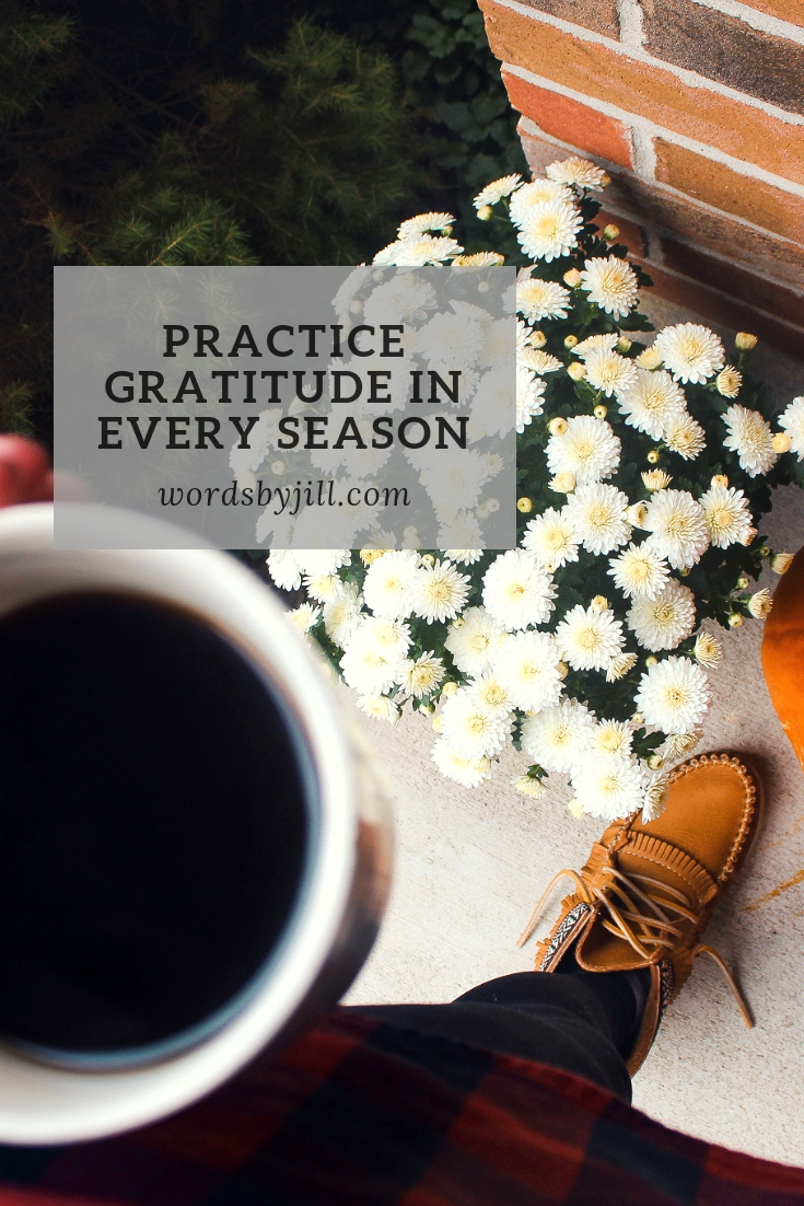 Practice gratitude in every season.jpg