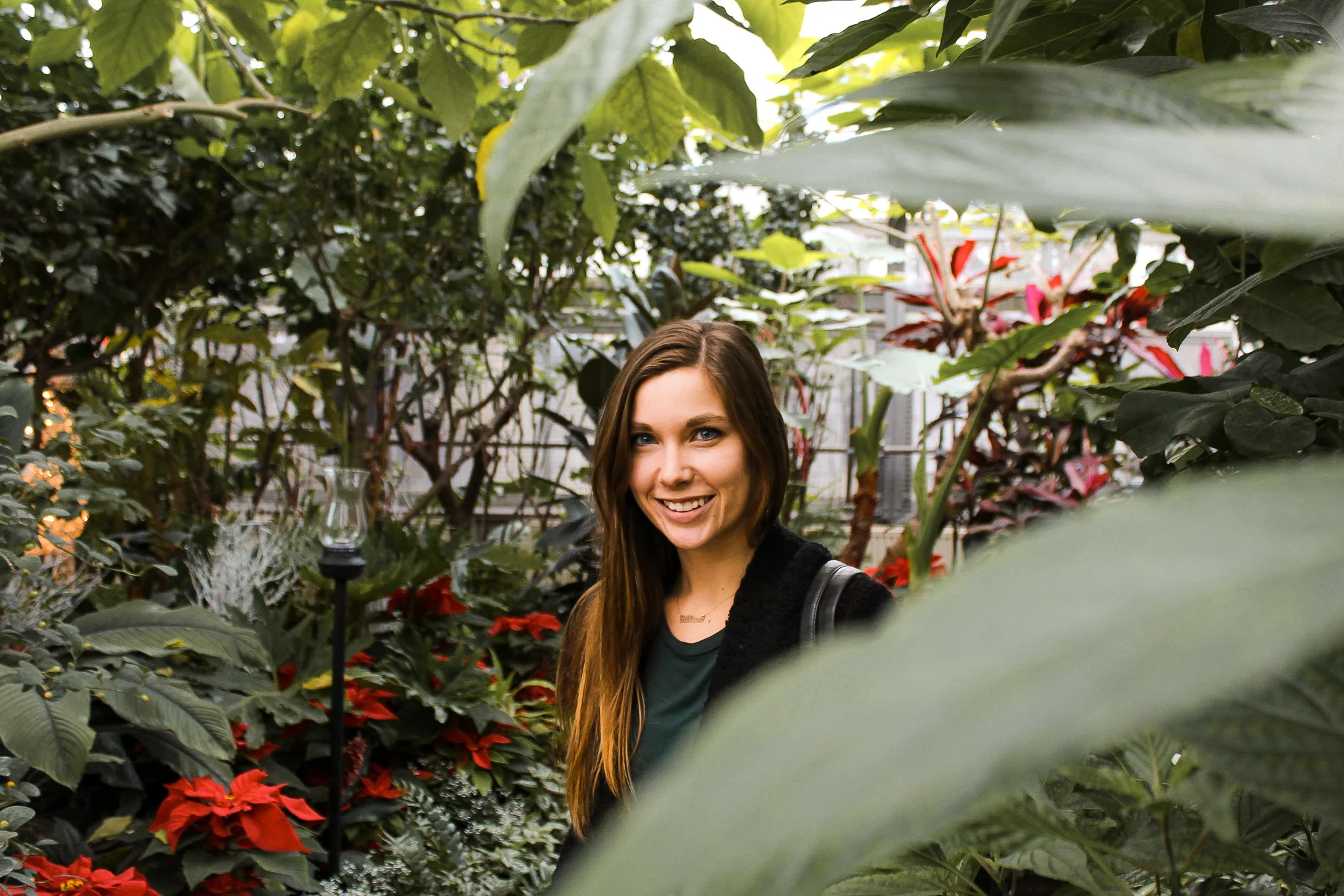 Allan Gardens tropical.jpg