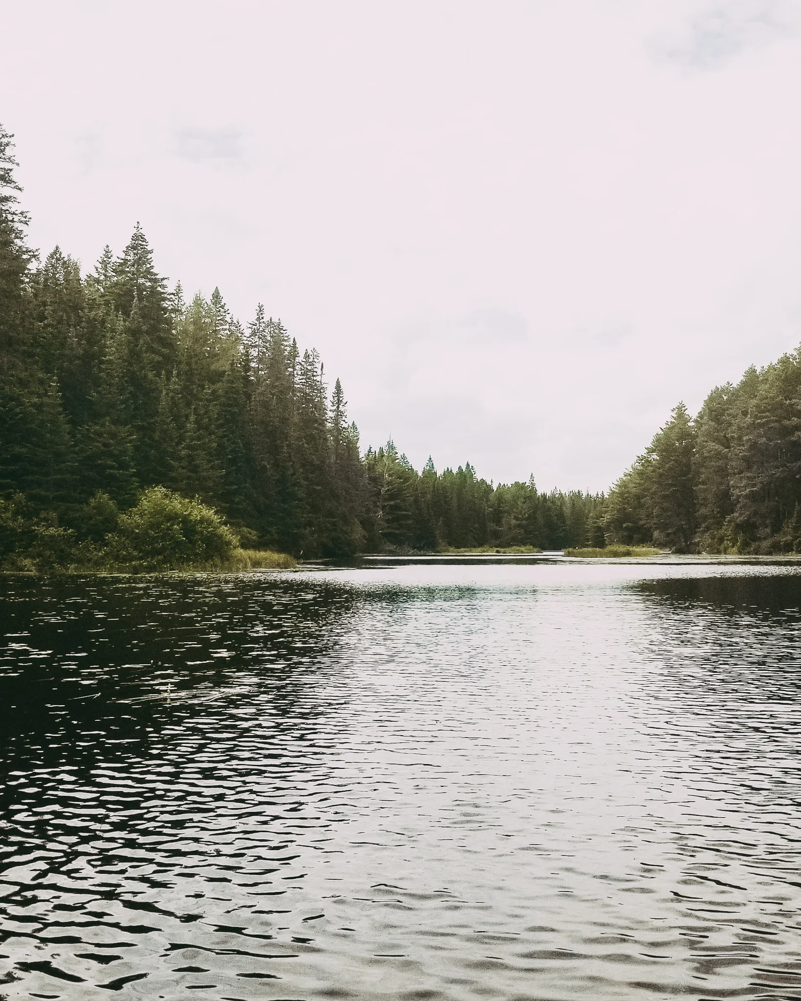 20190720_154505.jpg