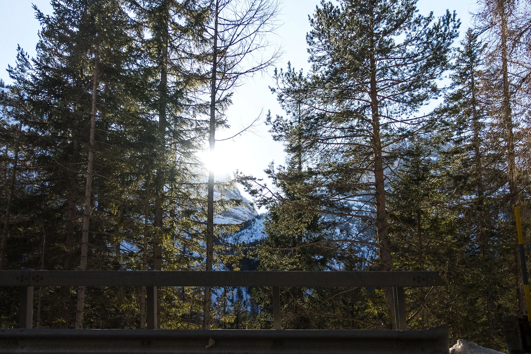 DSC06567_alps