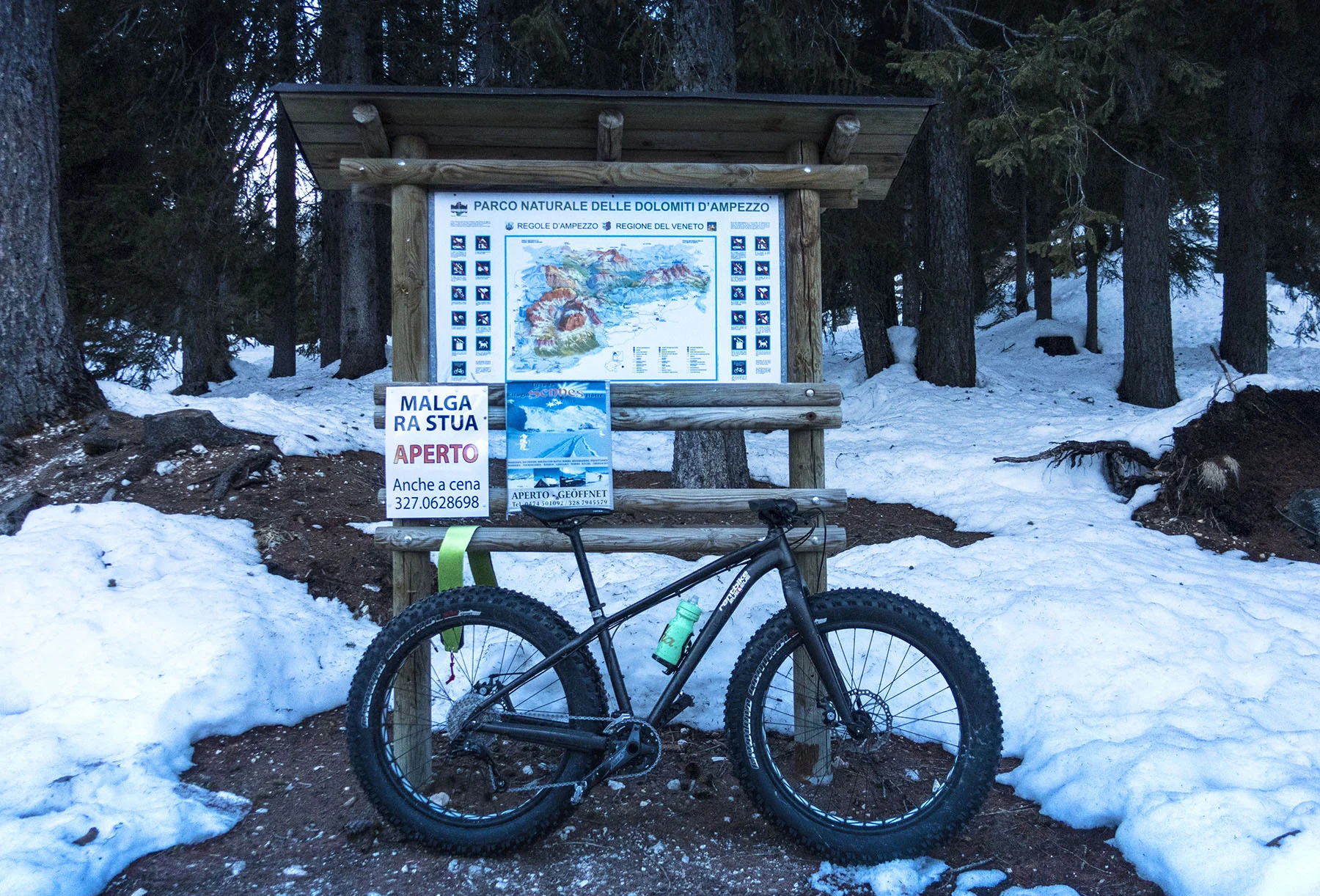 DSC06632_bike