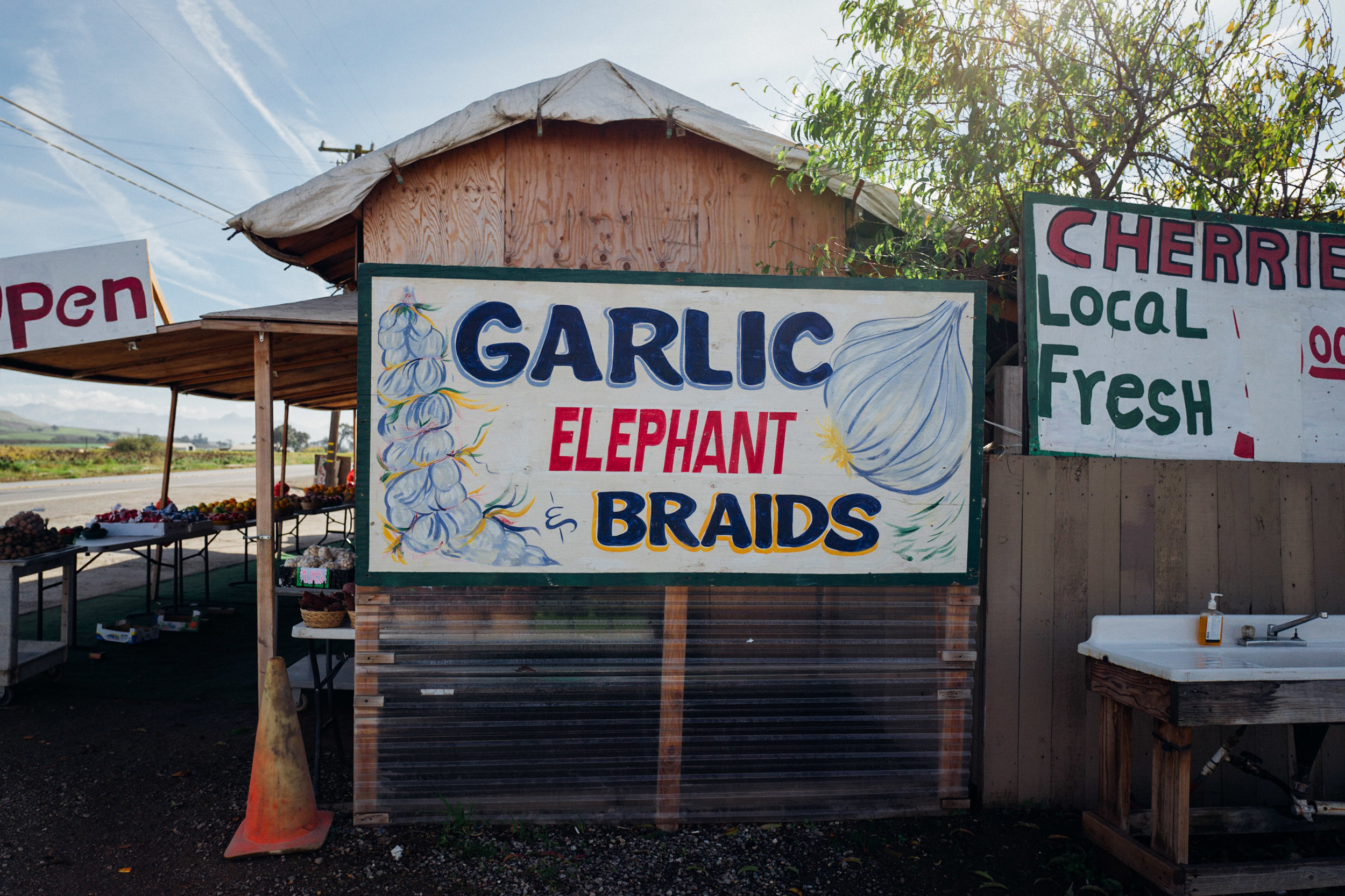 Photo Rhetoric - California in November-1060.jpg