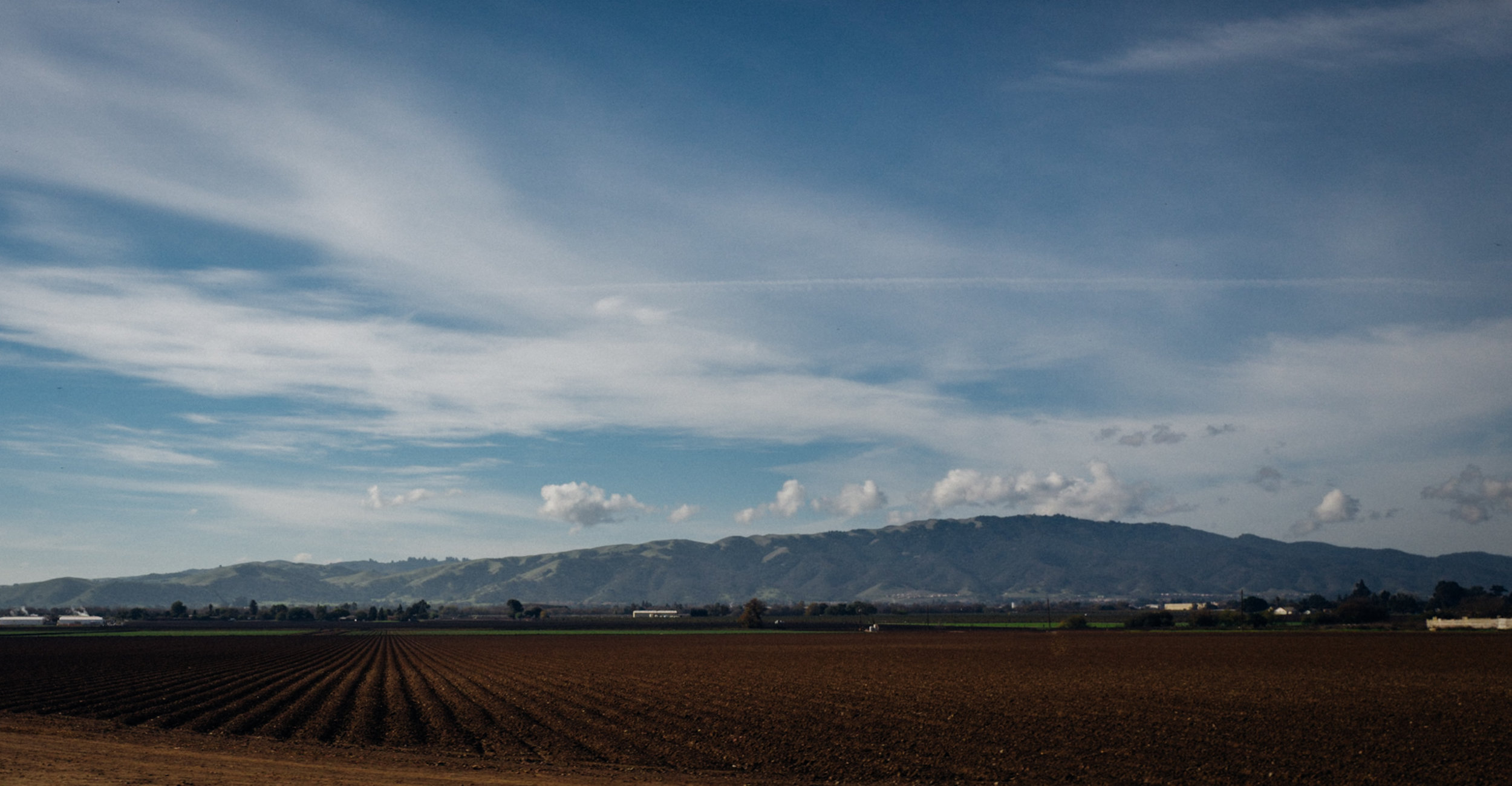 Photo Rhetoric - California in November-1063.jpg
