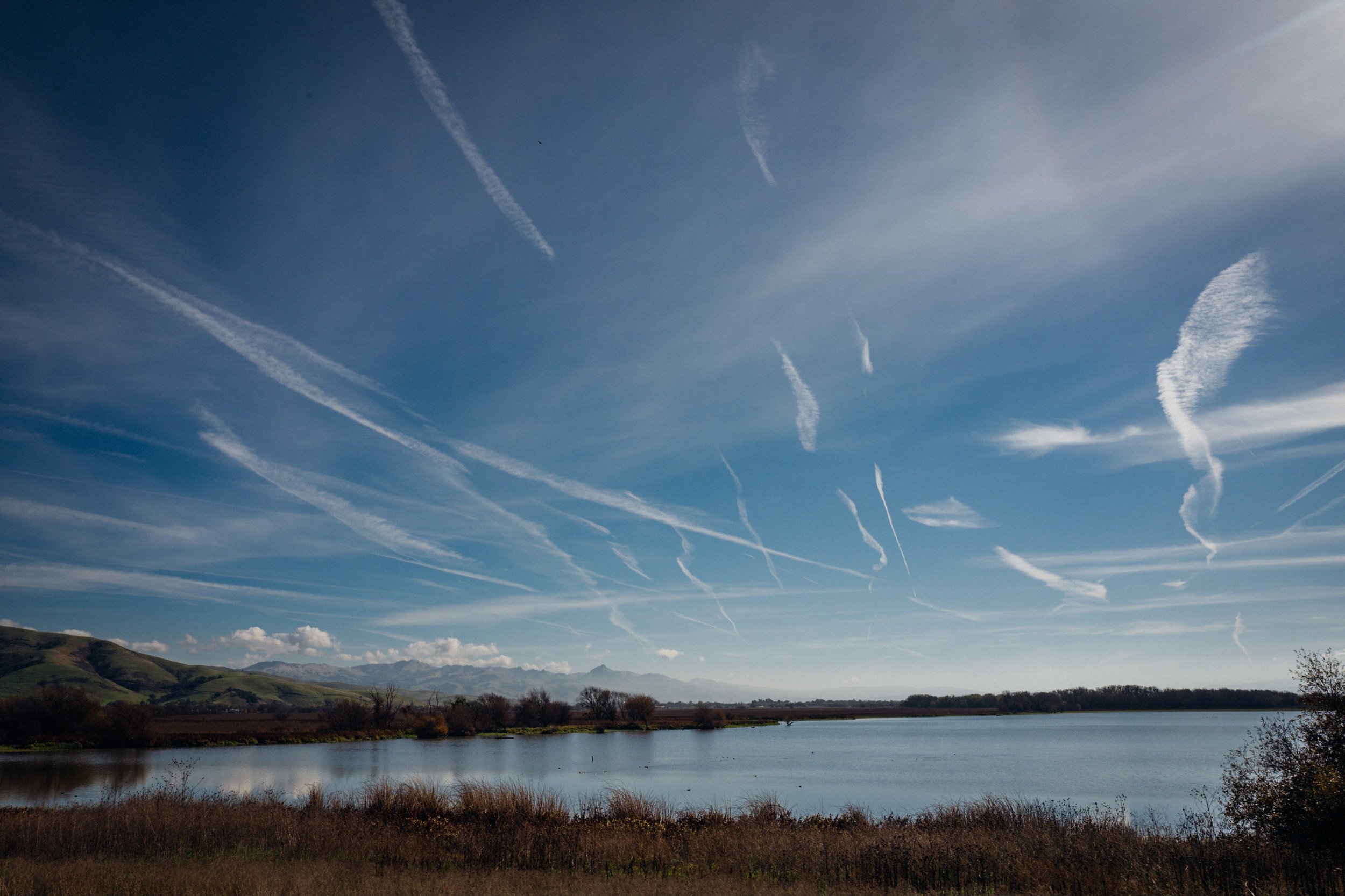 Photo Rhetoric - California in November-1064.jpg