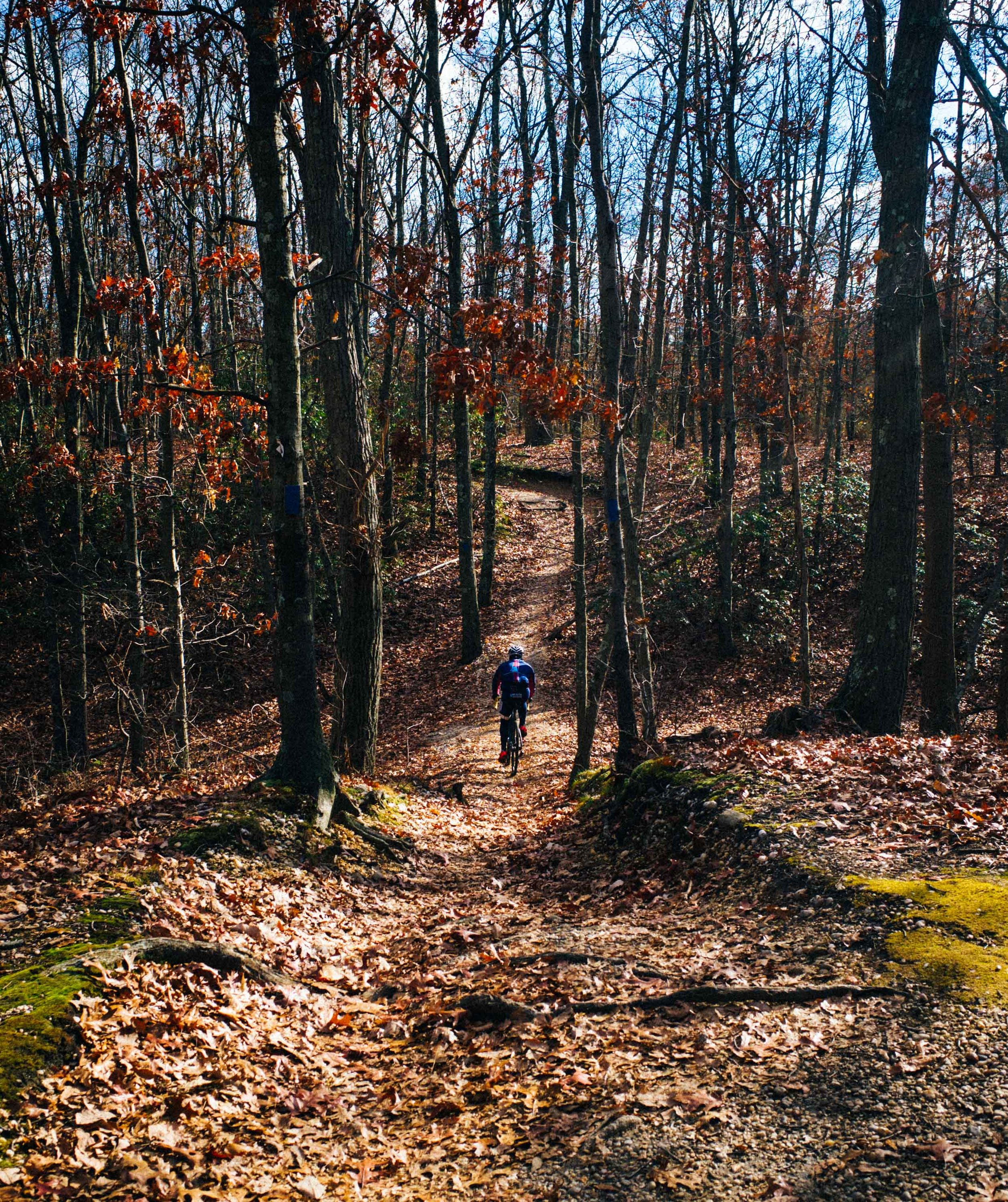 Mountain Biking at Stillwell Long Island-1020.jpg