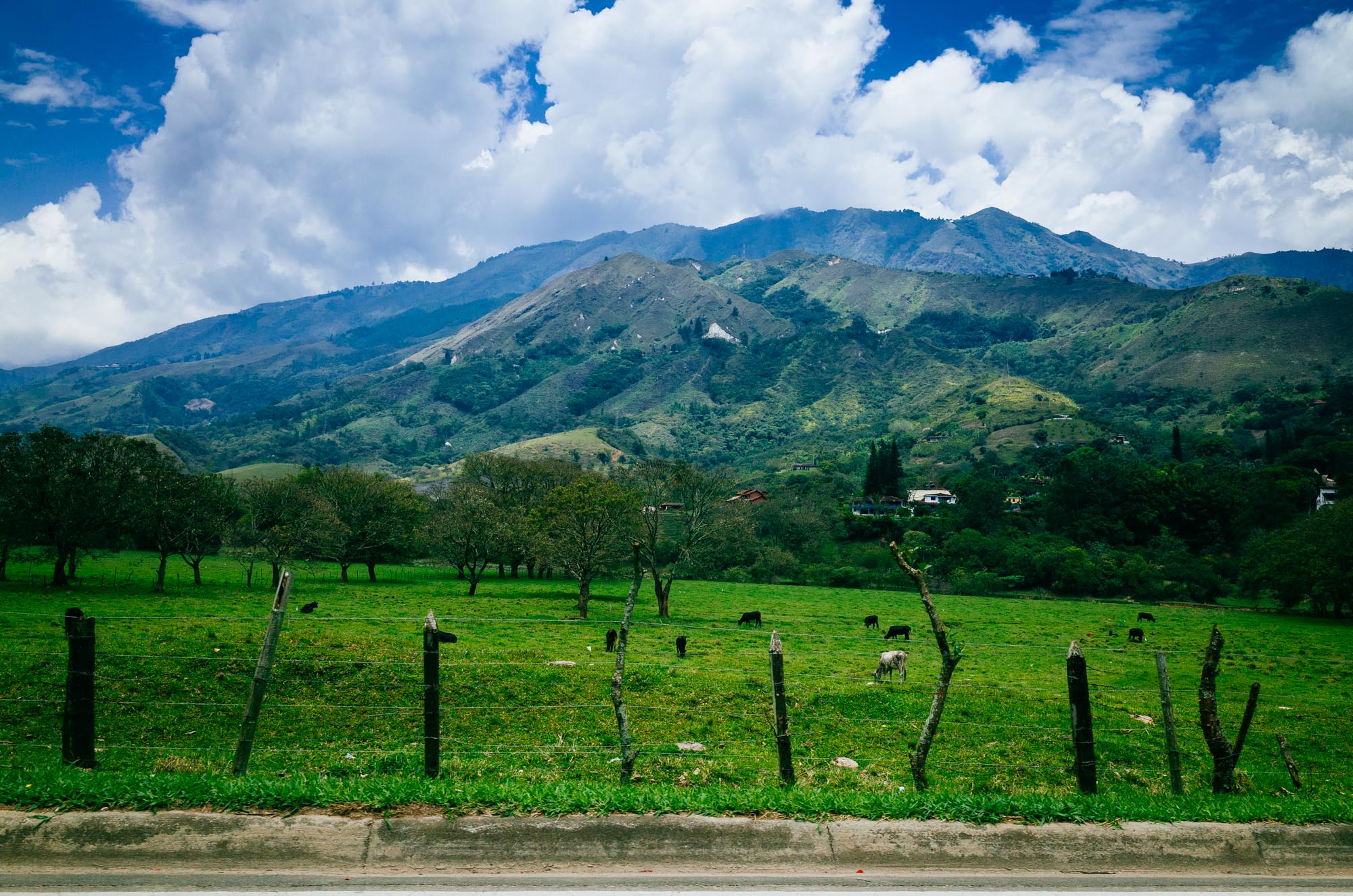 to-be-determined-photo-rhetoric-cycling-in-colombia-1014.jpg