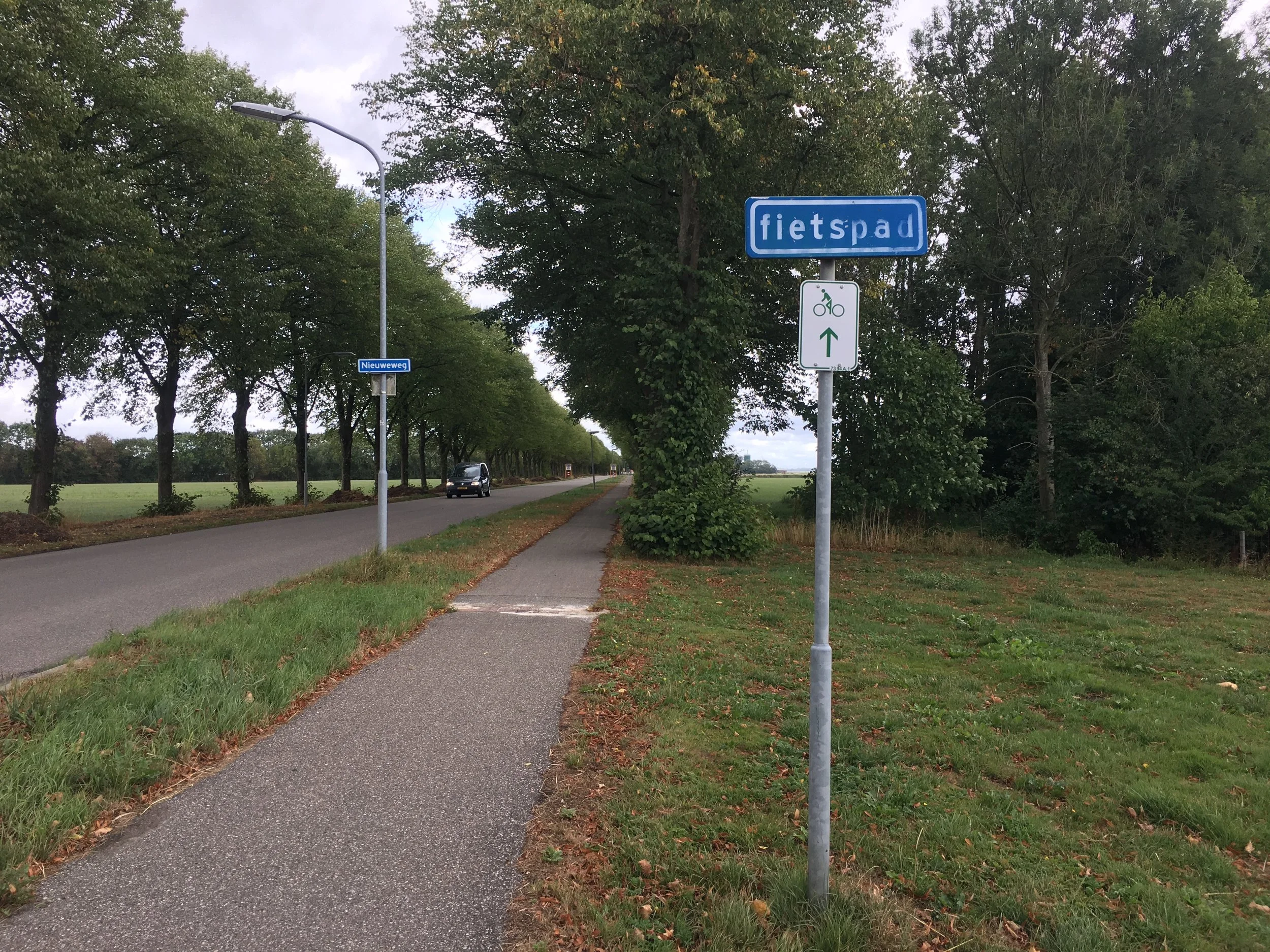 "Fietspad" is my favorite Dutch word. (After "hagelslag," obviously).