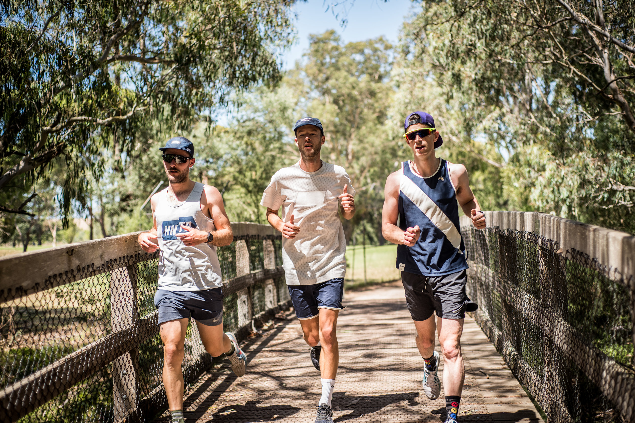  Gum trees - Very Australian 