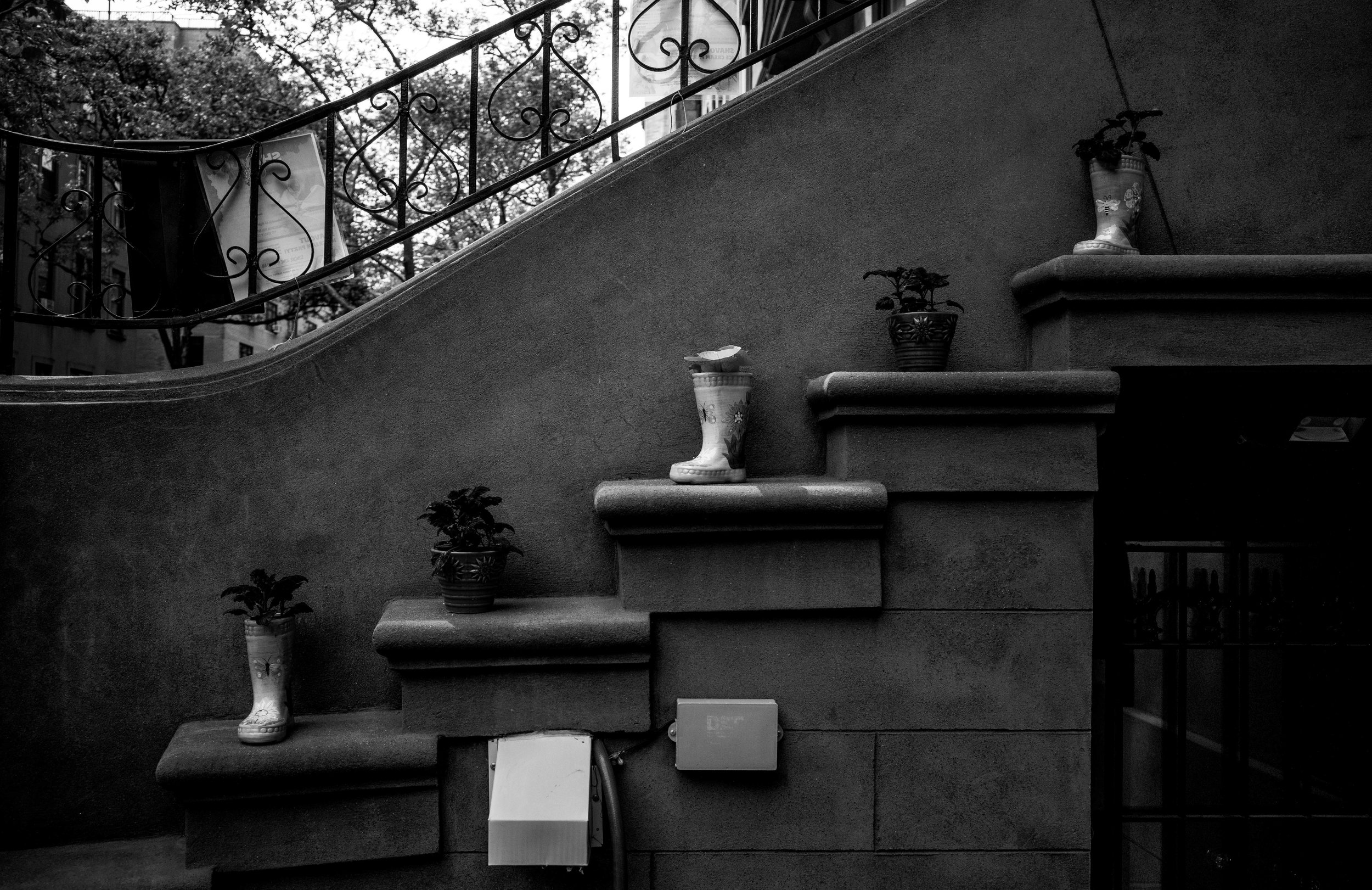 Flower pots in front of a brownstone.