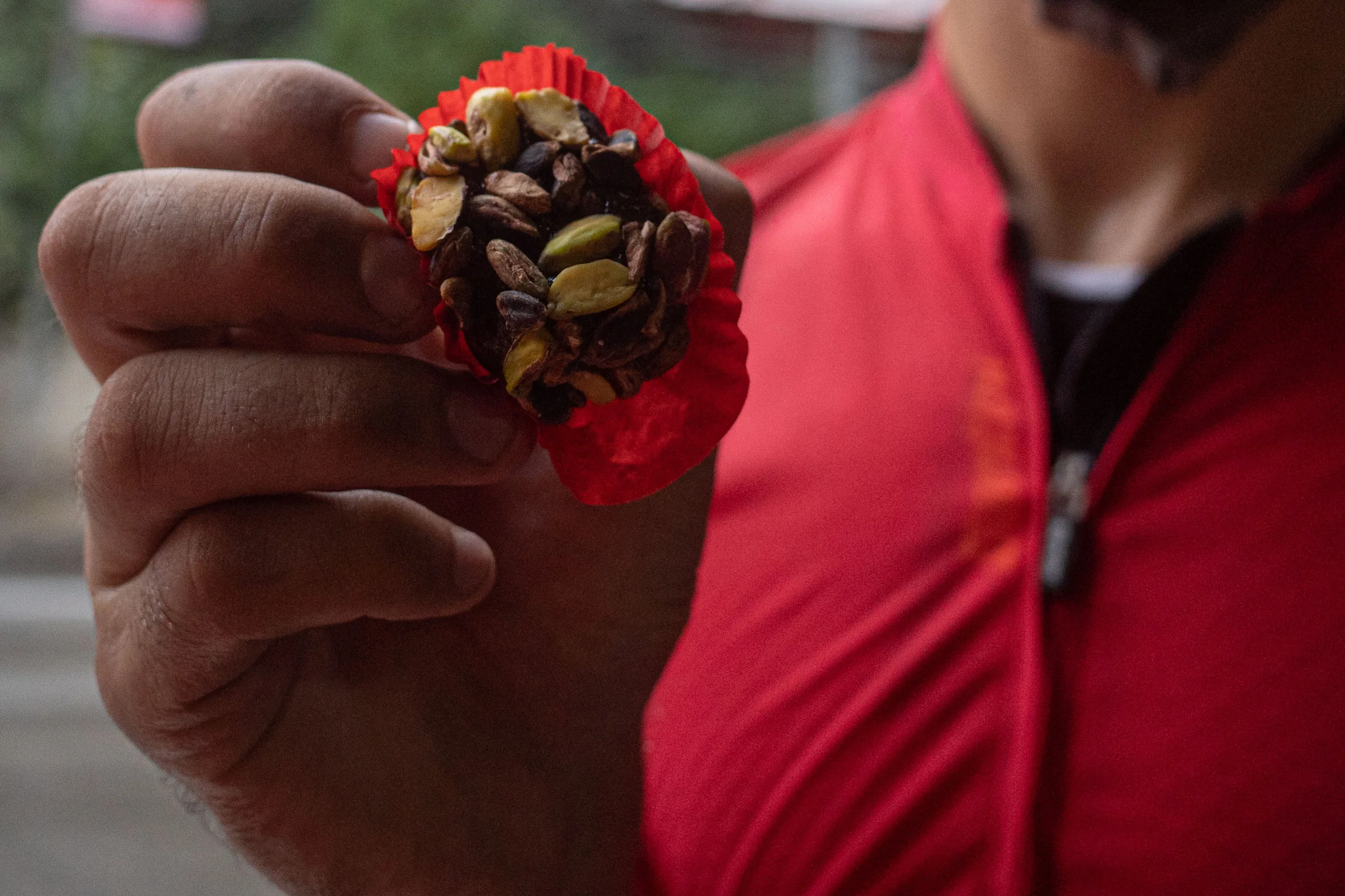 Snacks during the rides are delicious here: pistachios over grape paste.