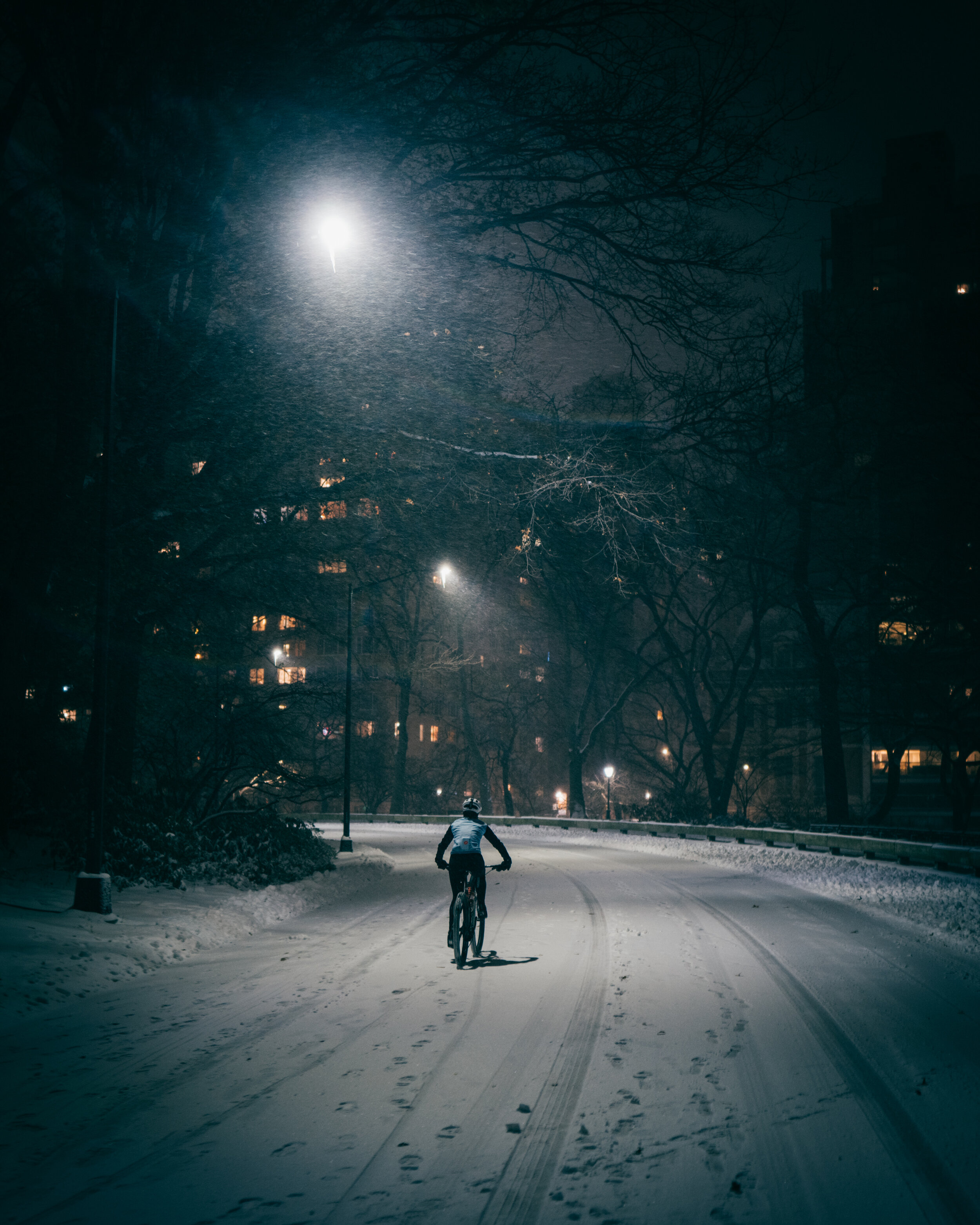 Photo Rhetoric - To Be Determined - Central Park Snow -2009.jpg