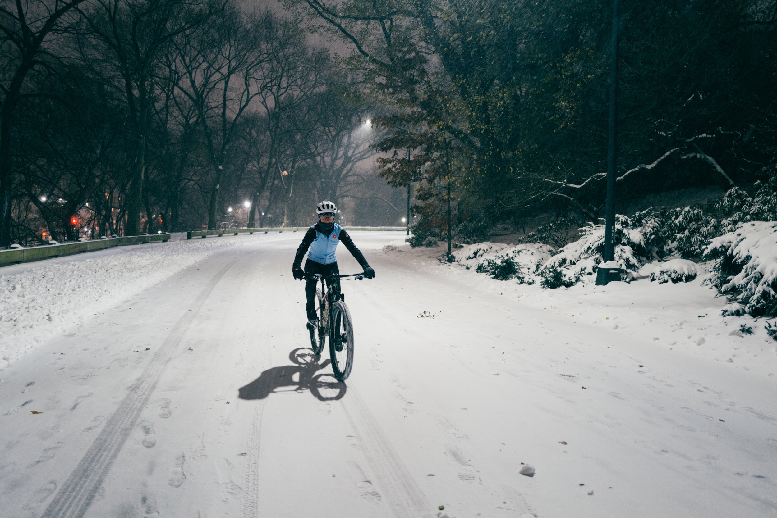 Photo Rhetoric - To Be Determined - Central Park Snow -2016.jpg