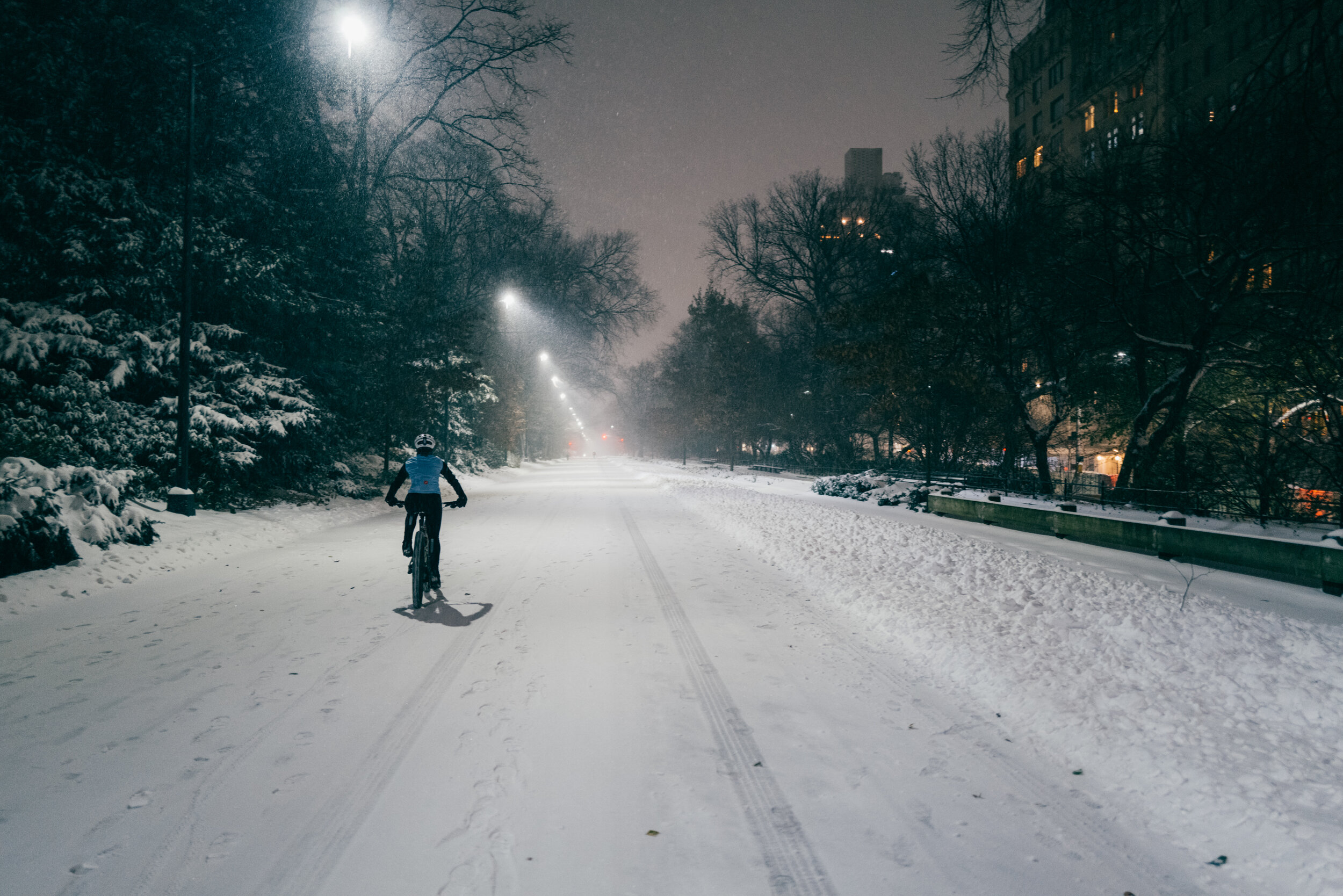 Photo Rhetoric - To Be Determined - Central Park Snow -2018.jpg