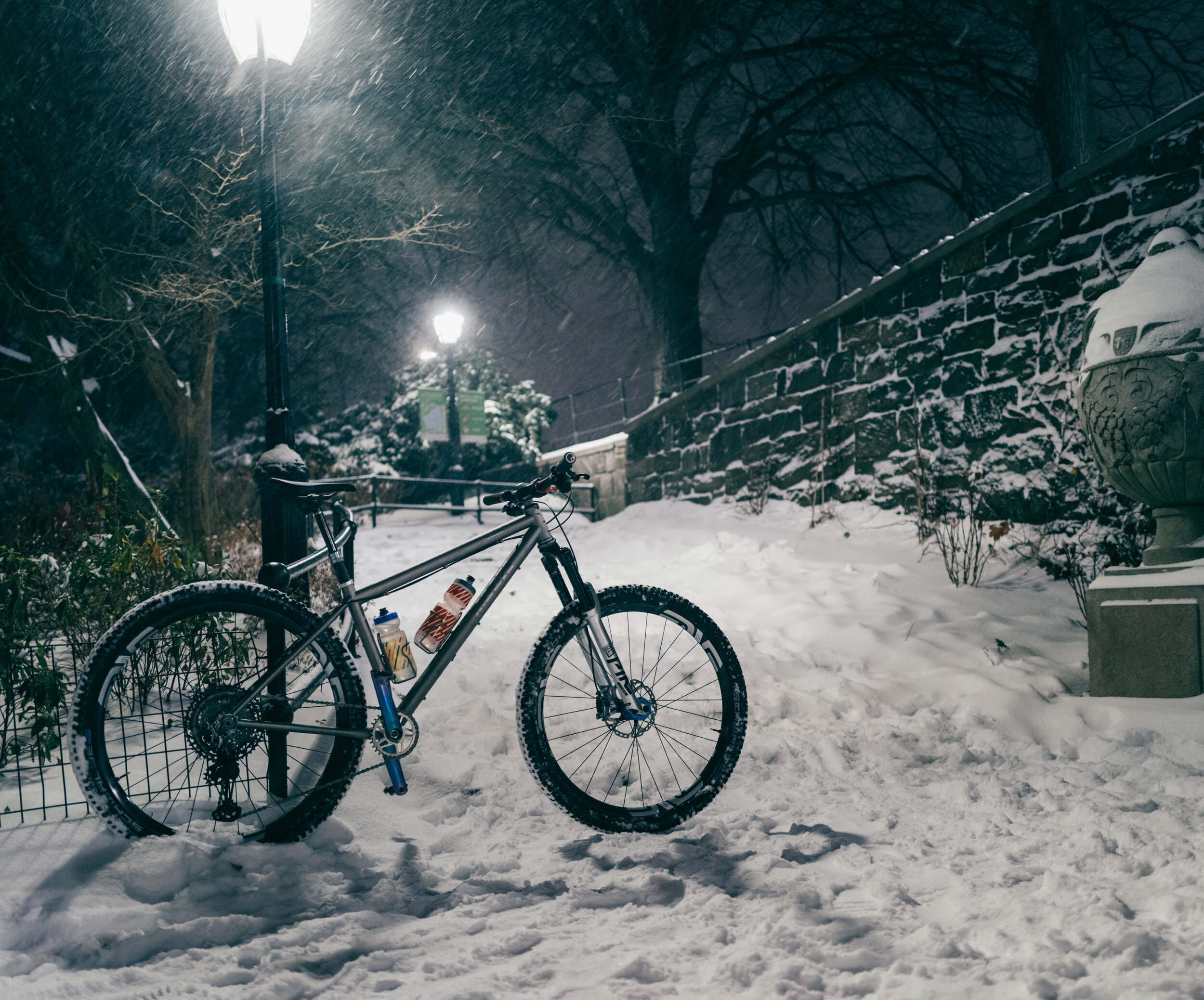 Photo Rhetoric - To Be Determined - Central Park Snow -2024.jpg