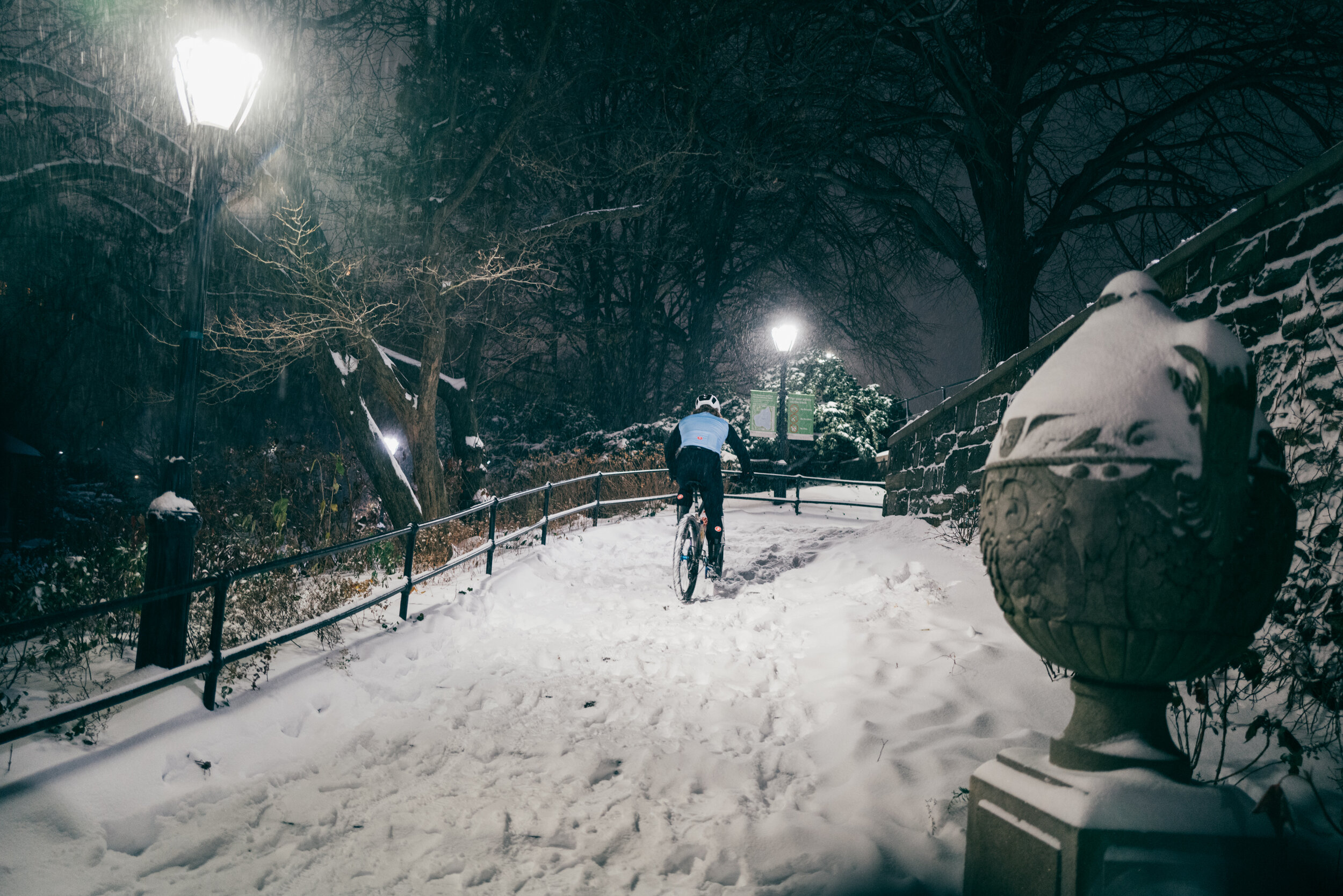Photo Rhetoric - To Be Determined - Central Park Snow -2025.jpg