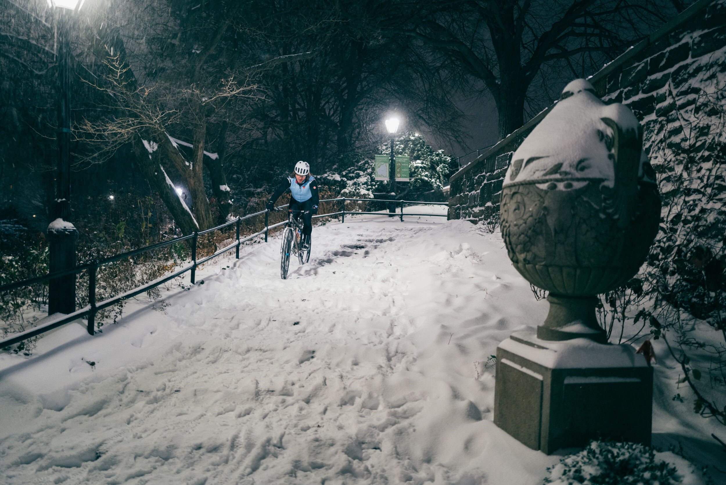 Photo Rhetoric - To Be Determined - Central Park Snow -2027.jpg