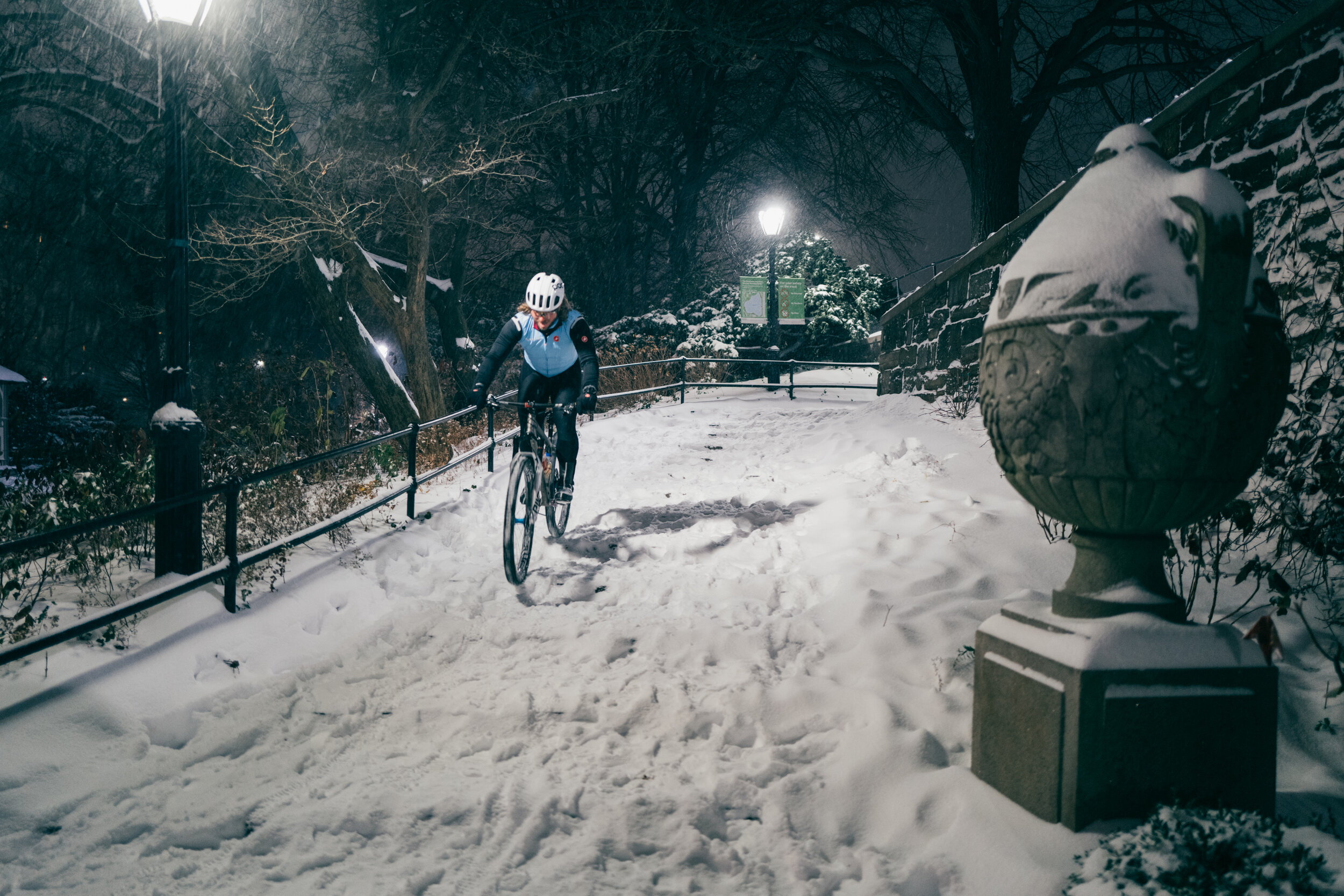 Photo Rhetoric - To Be Determined - Central Park Snow -2028.jpg