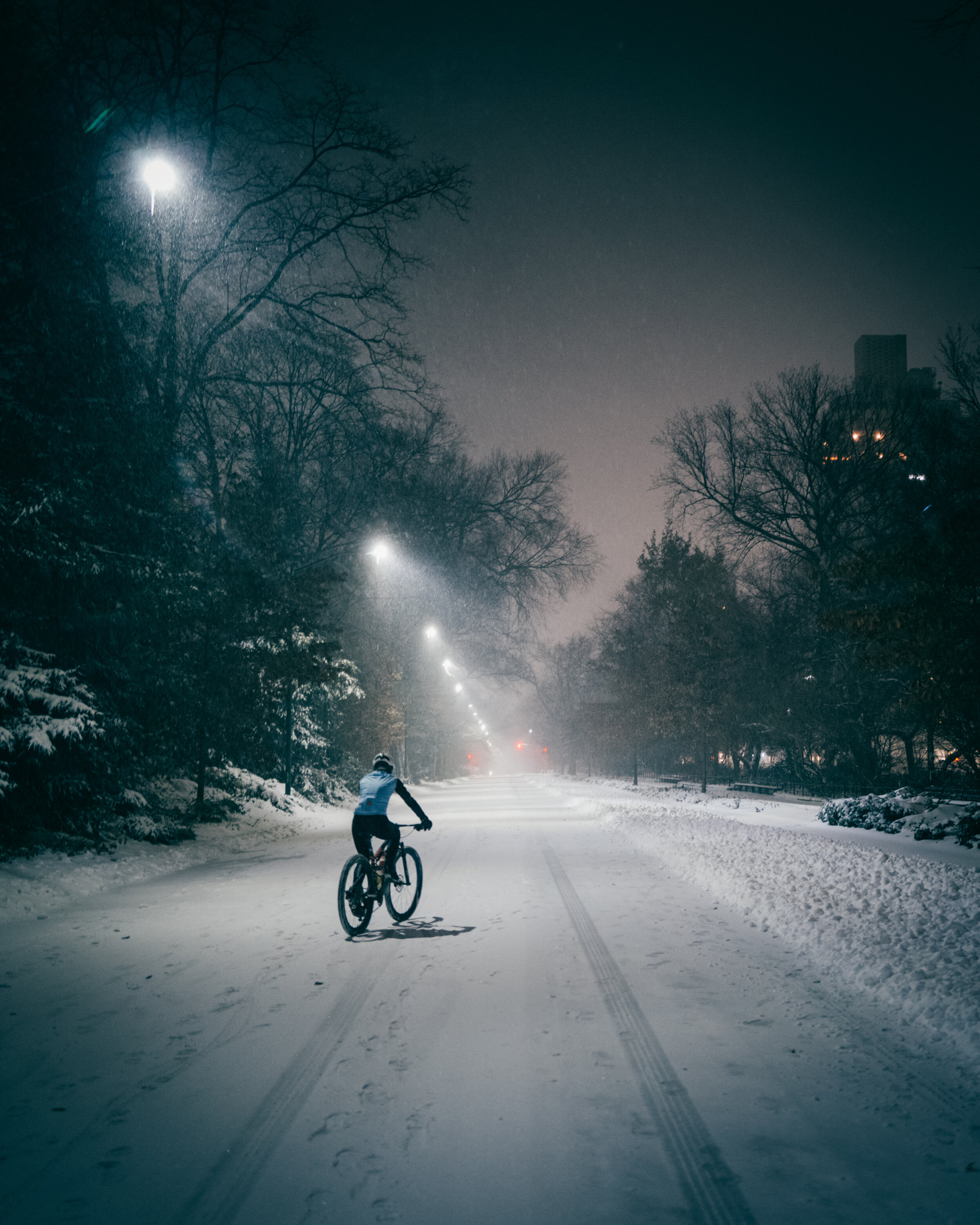 Photo Rhetoric - To Be Determined - Central Park Snow -3000.jpg