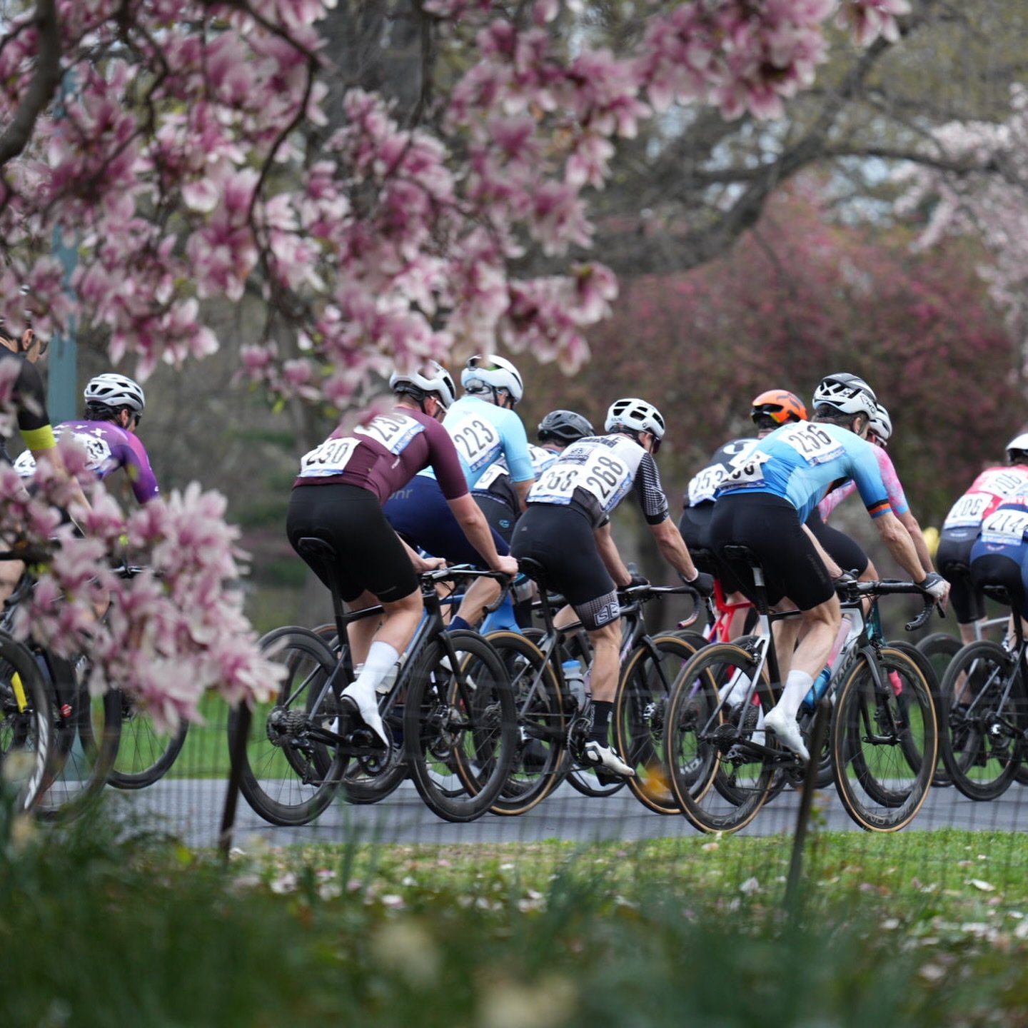 Garneau A1 Review — To Be Determined Journal — Cycling, Bike Garneau A1 Review — To Be Determined Journal — Cycling, Bike