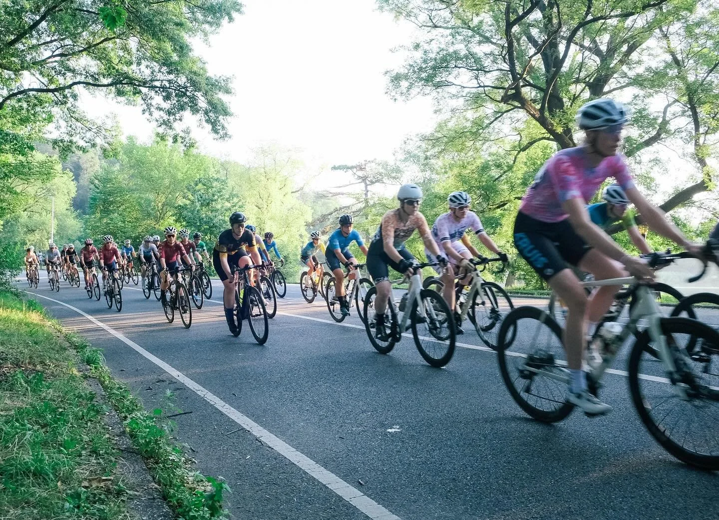 &ldquo;The Definitive Guide to WTFNB Race Teams in NYC&rdquo; is live on the journal!

If you are interested in joining a team, check out the article to find a little blurb about the active race teams!

Also! TBD is recruiting! Check out our bio for 