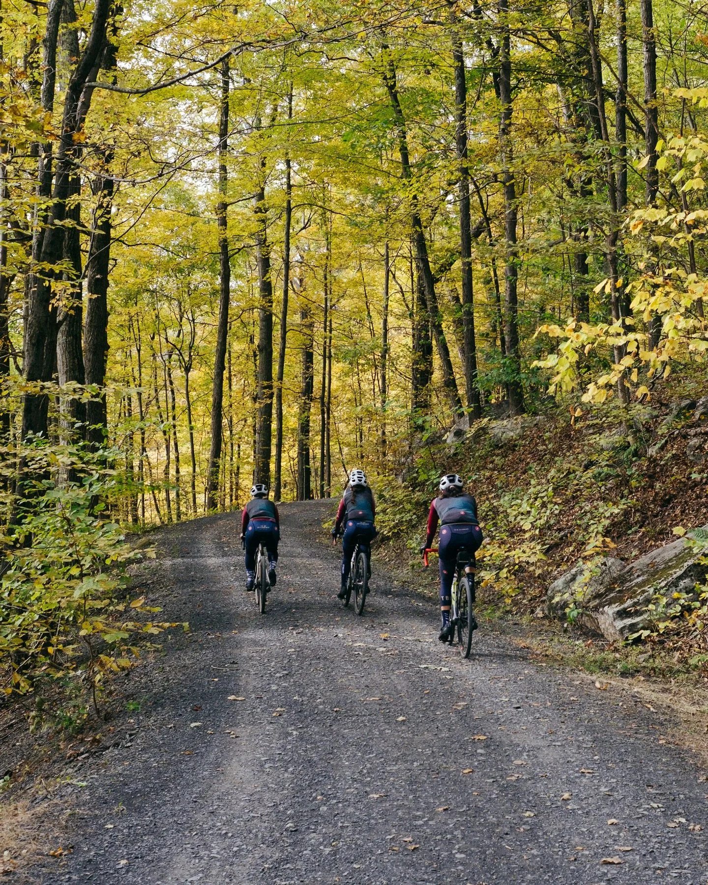 TBD takes a mid-cyclocross season break for some gravel in one of our favorite rides: The Shawangunks. Head over to tbd.bike for the pics and route details.