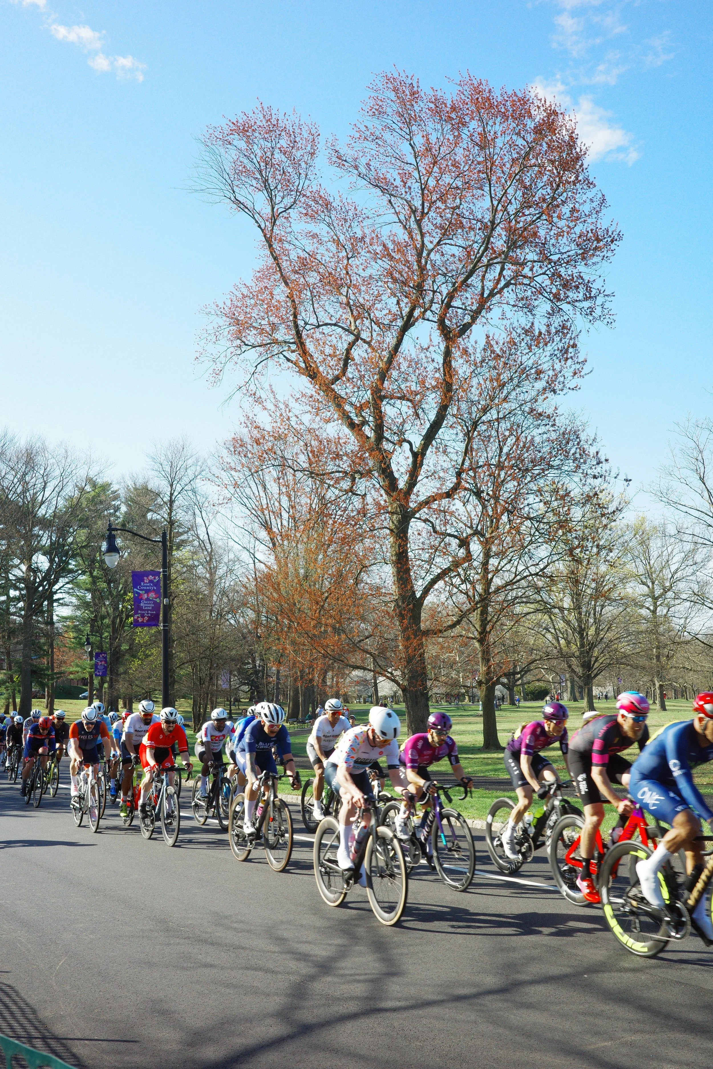Weekend Roll: Cherry Blossoms and Crit Racing