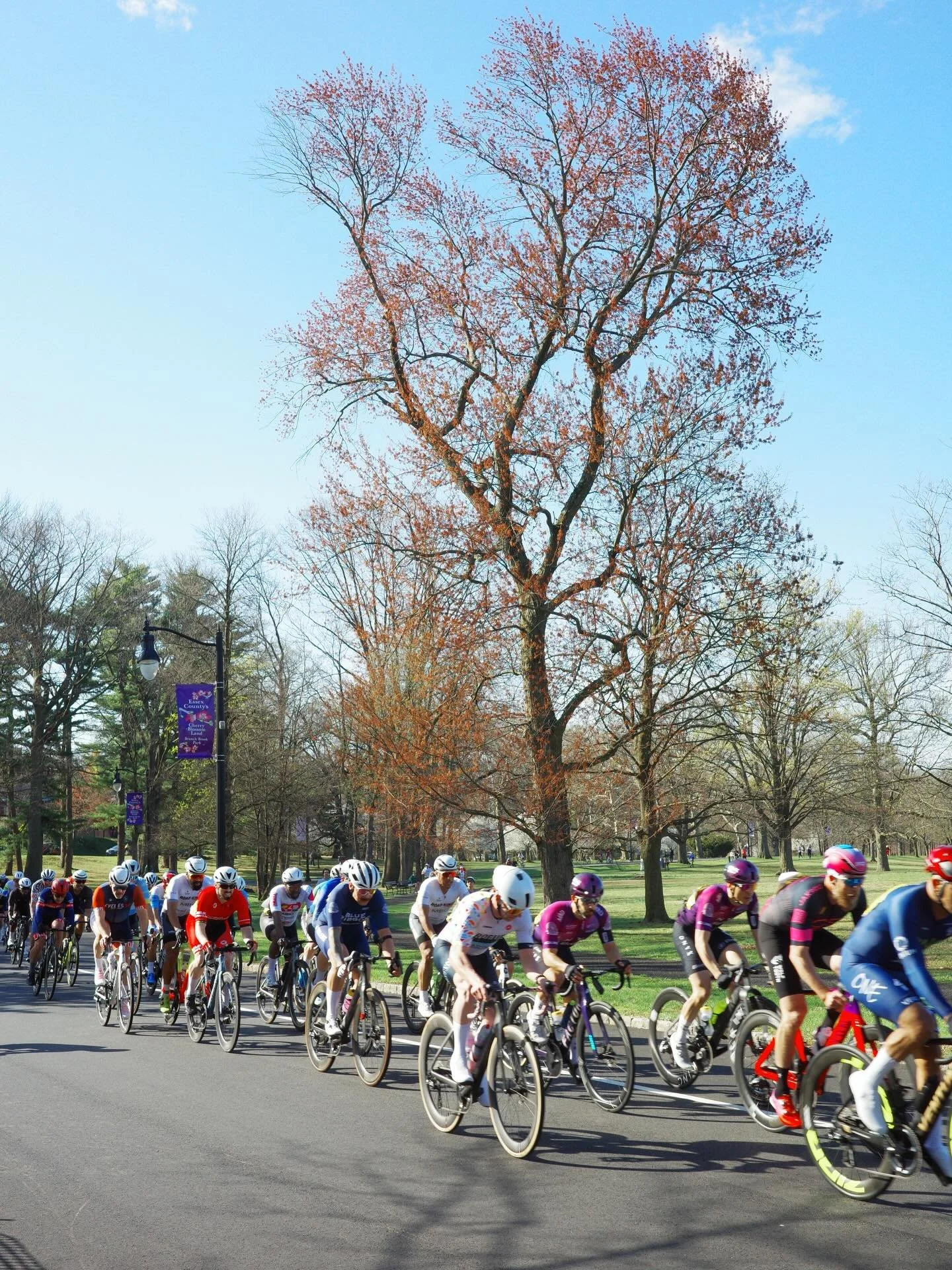 &ldquo;After an action packed few weeks of racing in Newark, New Jersey the Branch Brook Park Spring Series wrapped up with the Cherry Blossom Challenge. After a choppy spring in New York weather-wise, we were graced with pristine racing conditions: 