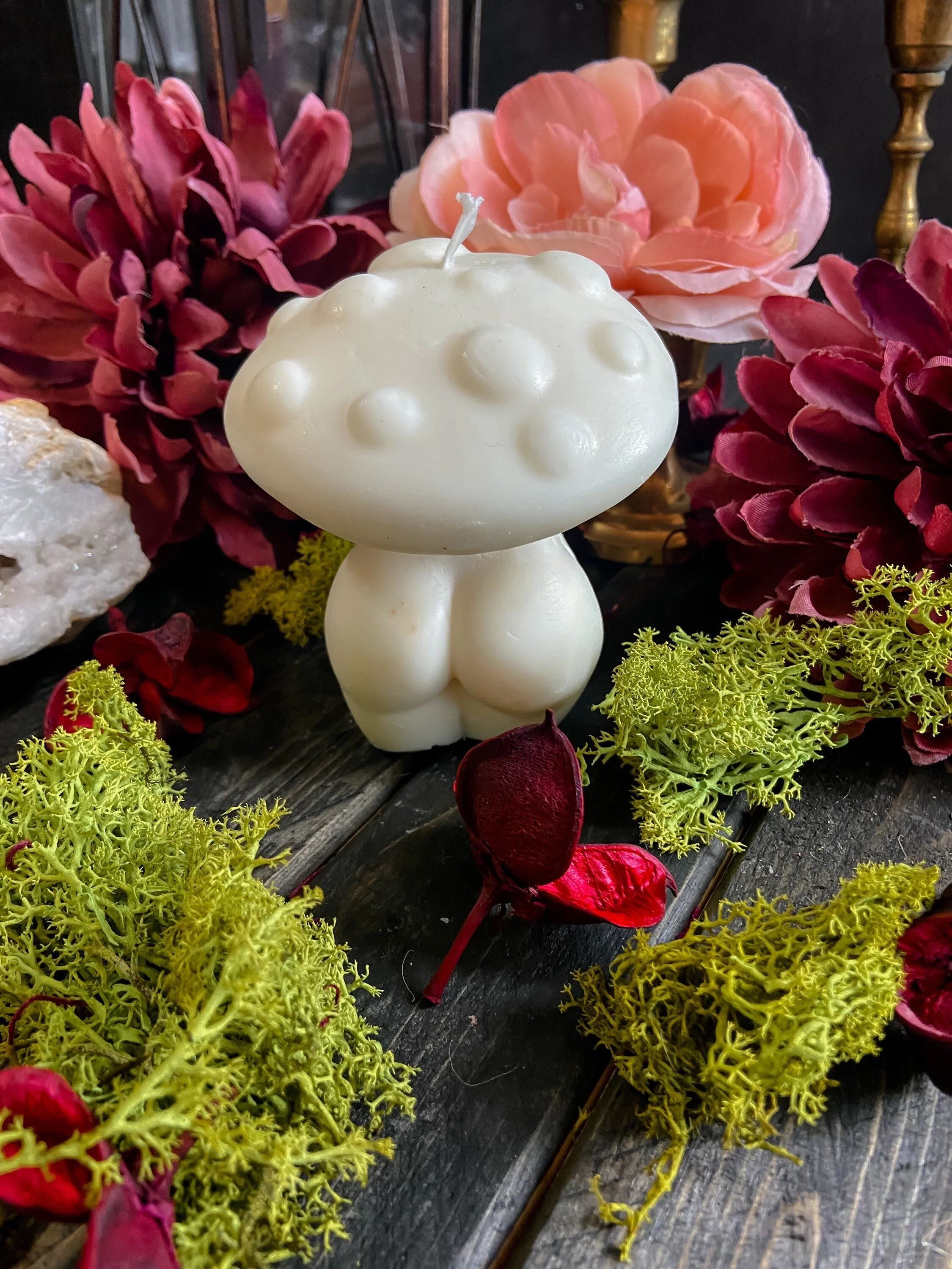 https://i.etsystatic.com/15862508/r/il/25cd97/4888135807/il_fullxfull.4888135807_feua.jpg