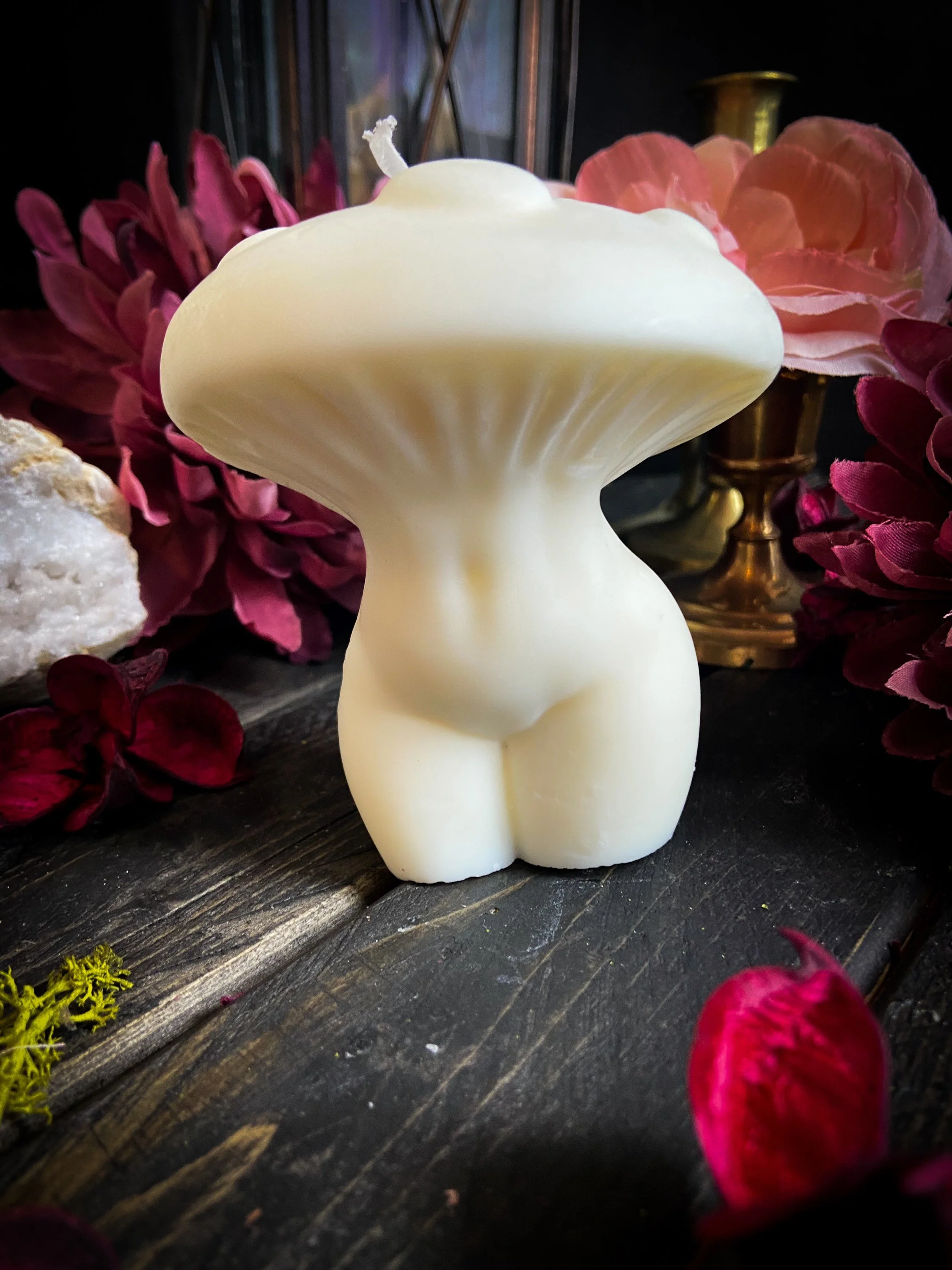 https://i.etsystatic.com/15862508/r/il/dd369b/4888136003/il_fullxfull.4888136003_hk7t.jpg