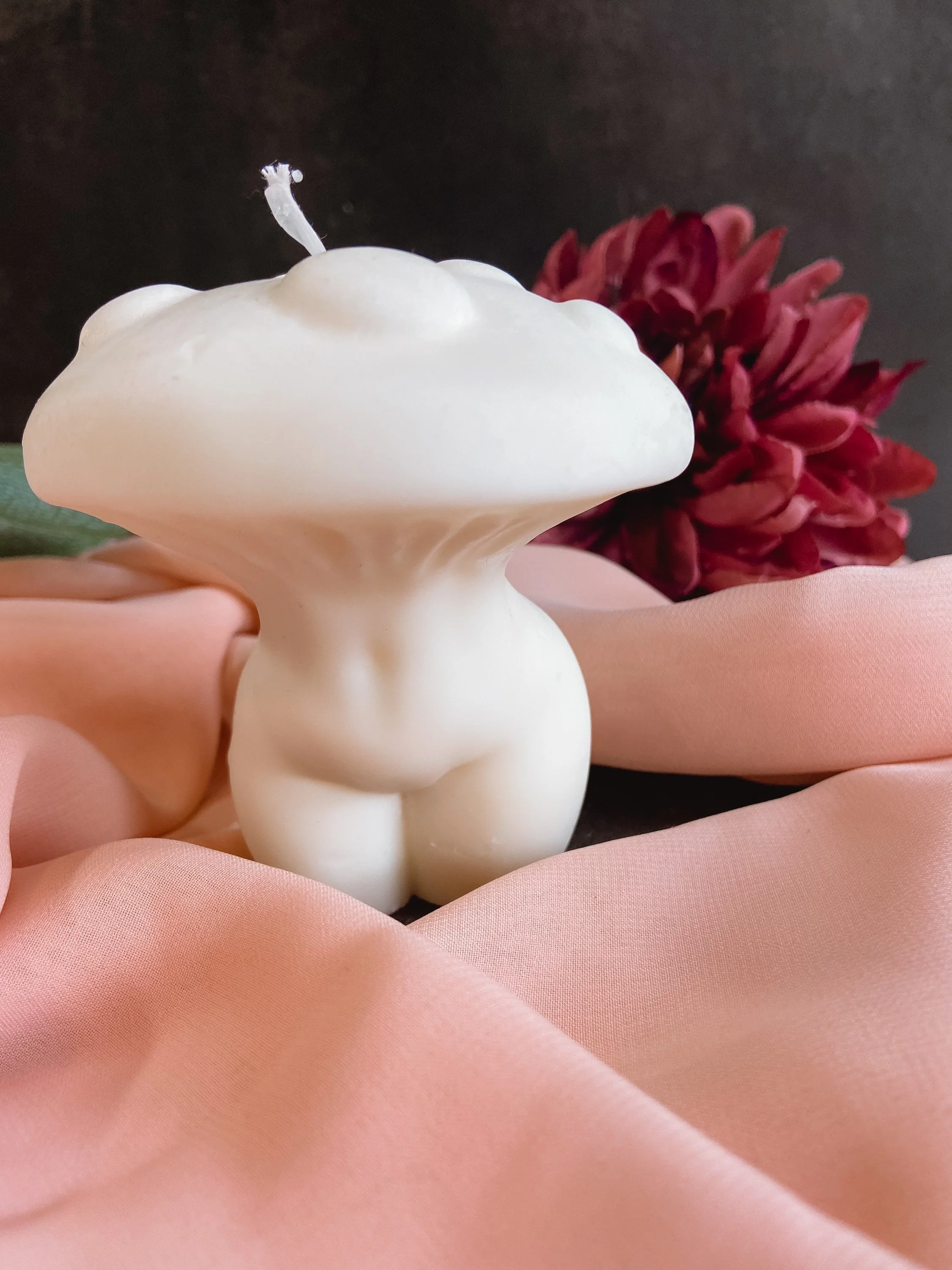https://i.etsystatic.com/15862508/r/il/0dd8a5/4839878196/il_fullxfull.4839878196_g62n.jpg