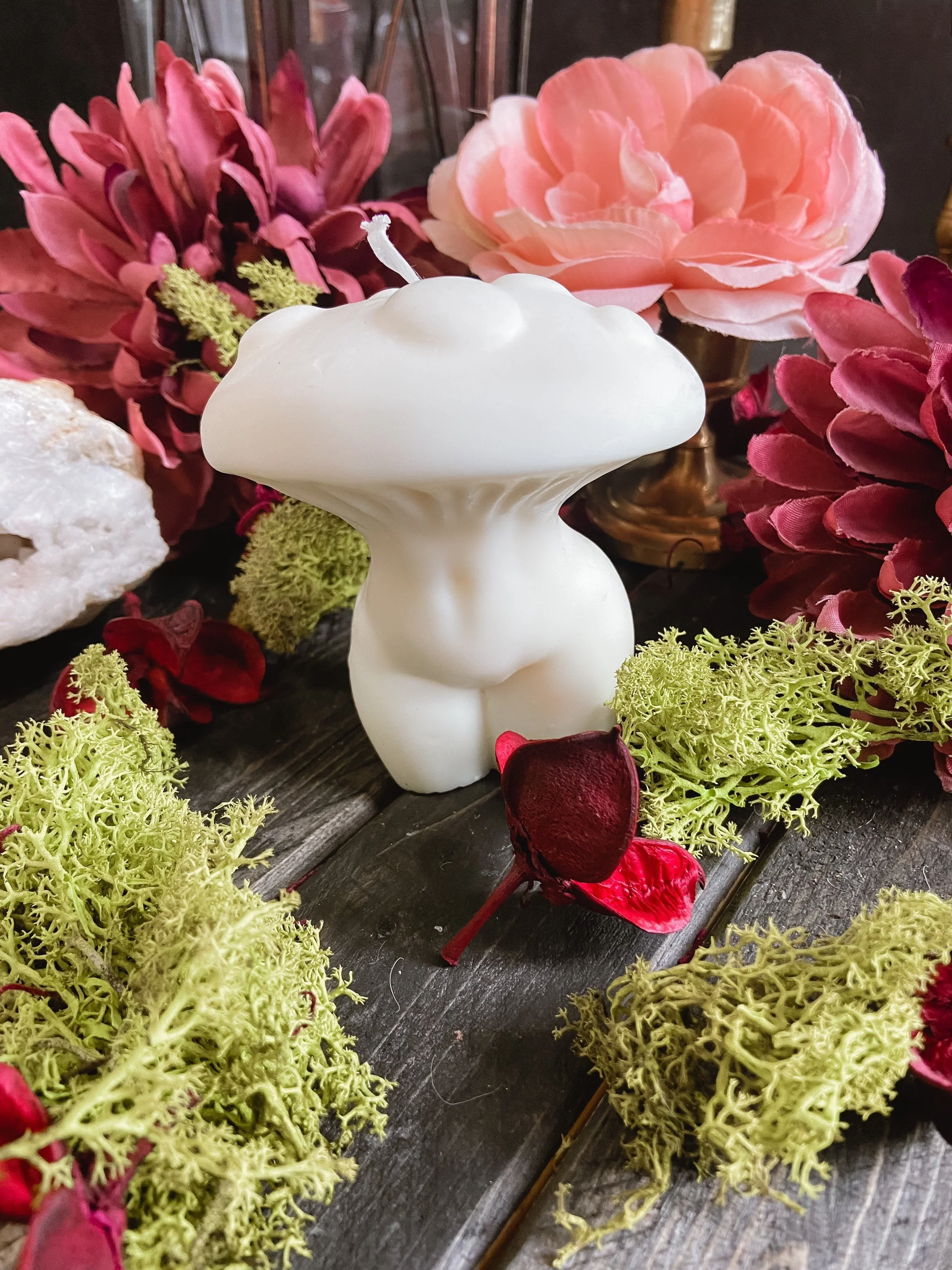 https://i.etsystatic.com/15862508/r/il/89eb99/4888136315/il_fullxfull.4888136315_7q80.jpg