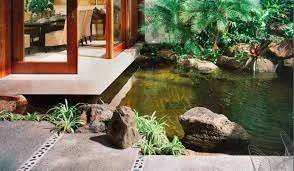 Paradigm Rock Monitor 80 LS.jfif