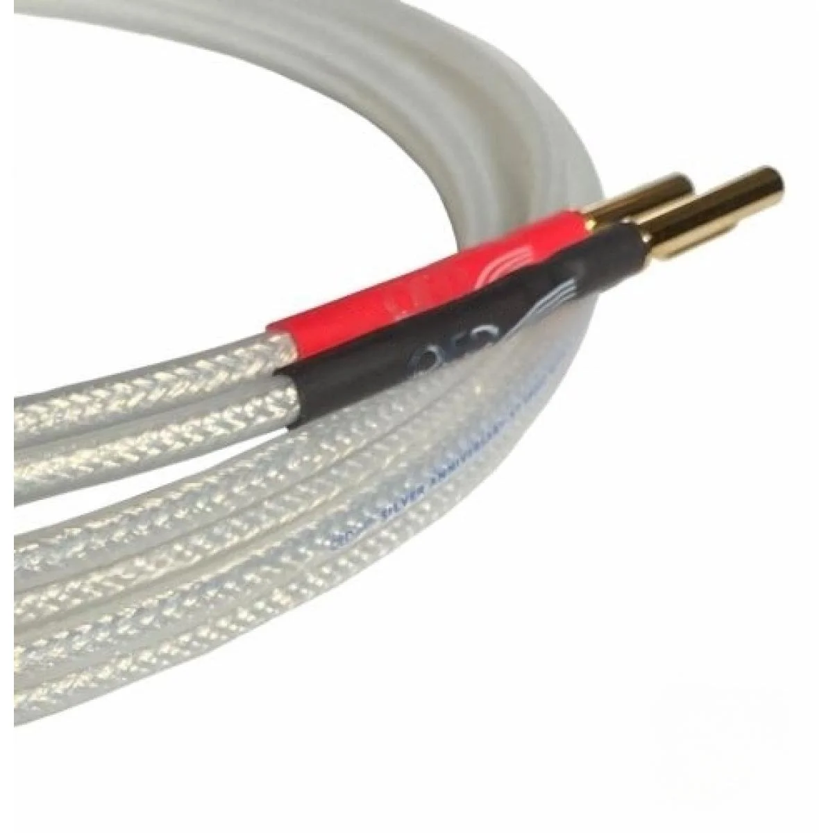 QED Silver Ann XT 2.jpeg