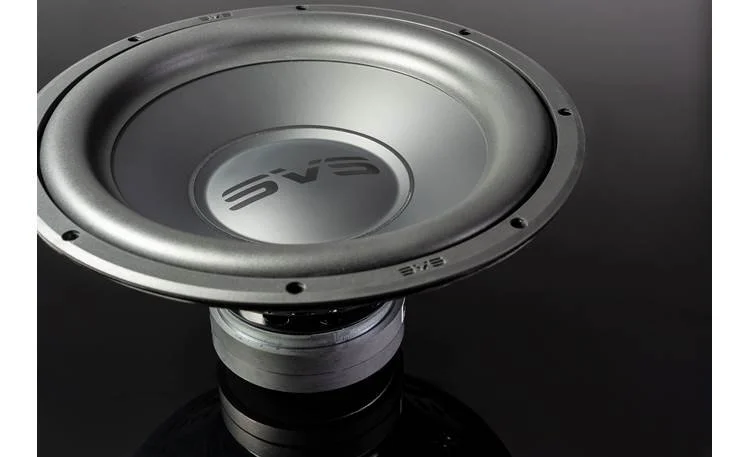 SVS SB1000 Pro Driver.jpg