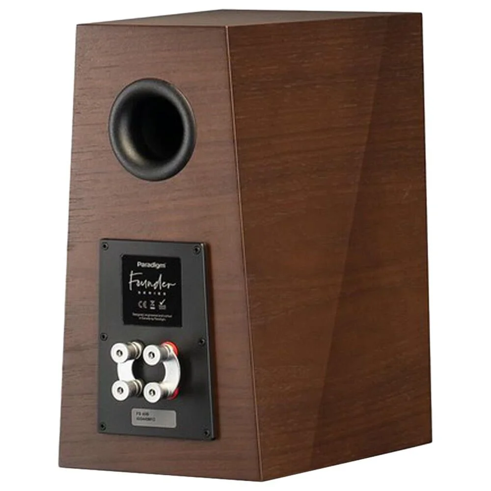 Paradigm Founder 40b Rear.jpg