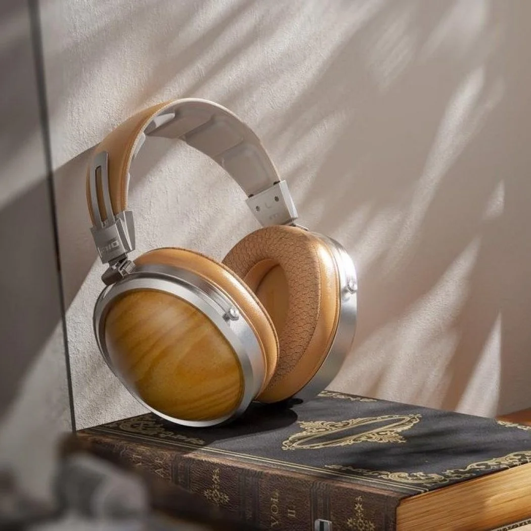 Fiio FT1 BCH LS2.jpeg