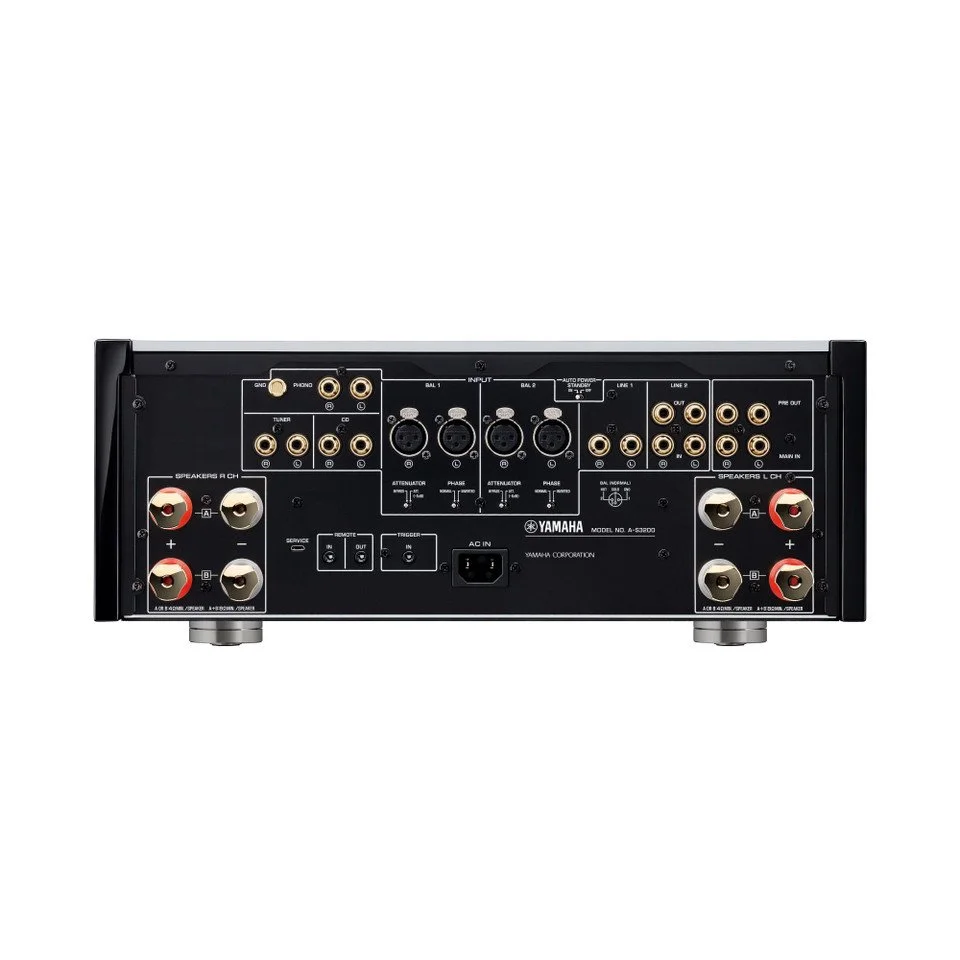 Yamaha AS3200 2.jpg